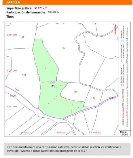 Plot in Pinoso