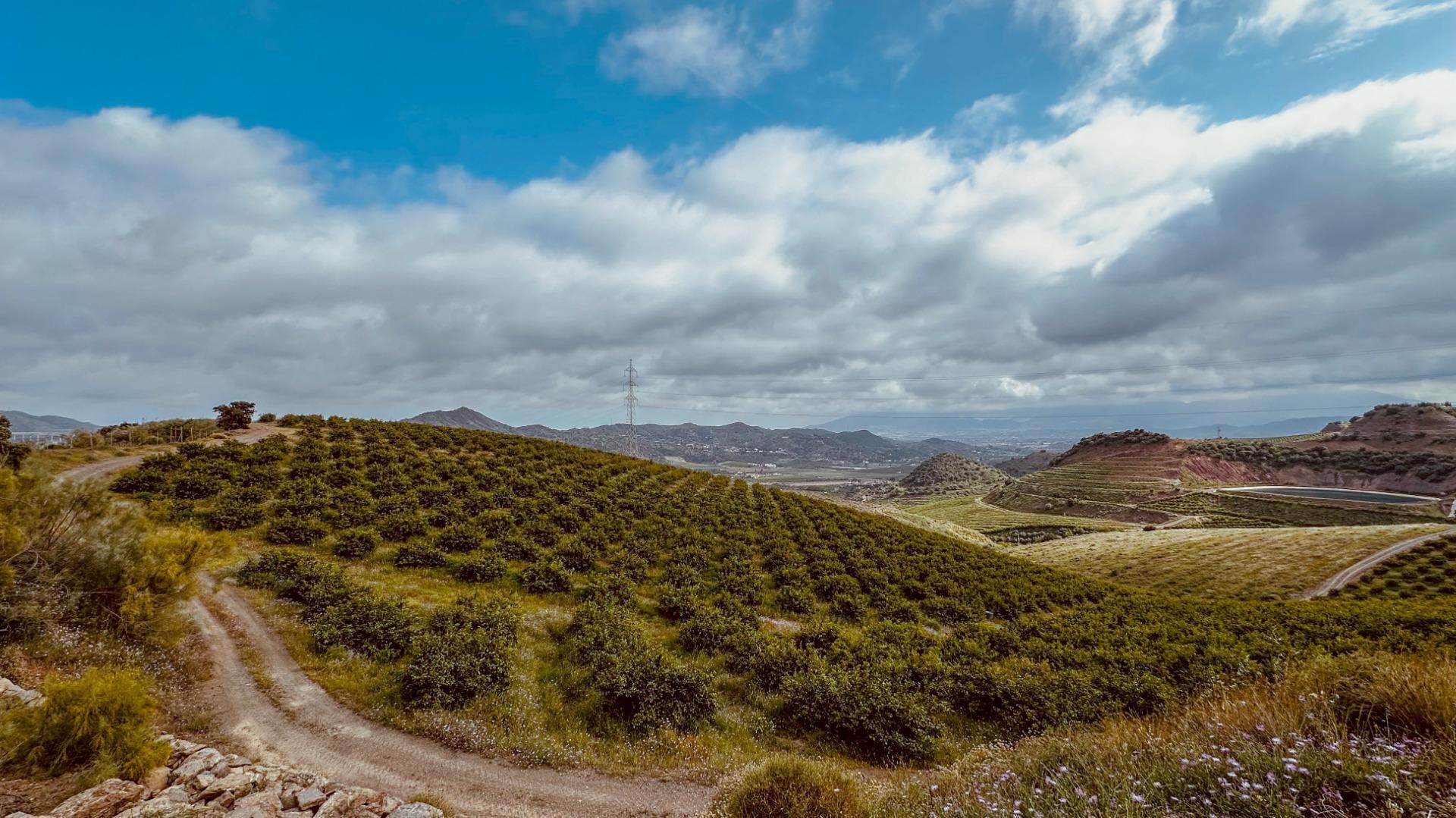 Almogía, Málaga