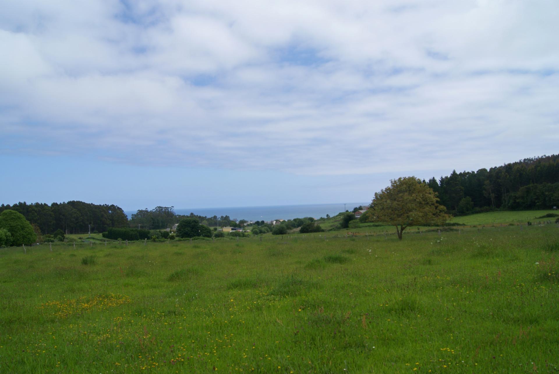 Villa in Foz