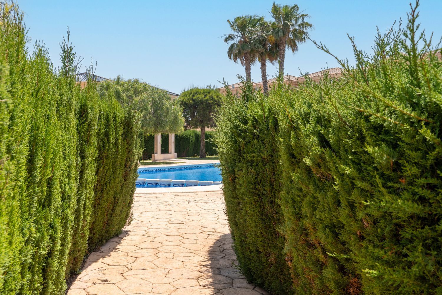 Pisos-Venta-Orihuela-2256338-Foto-19