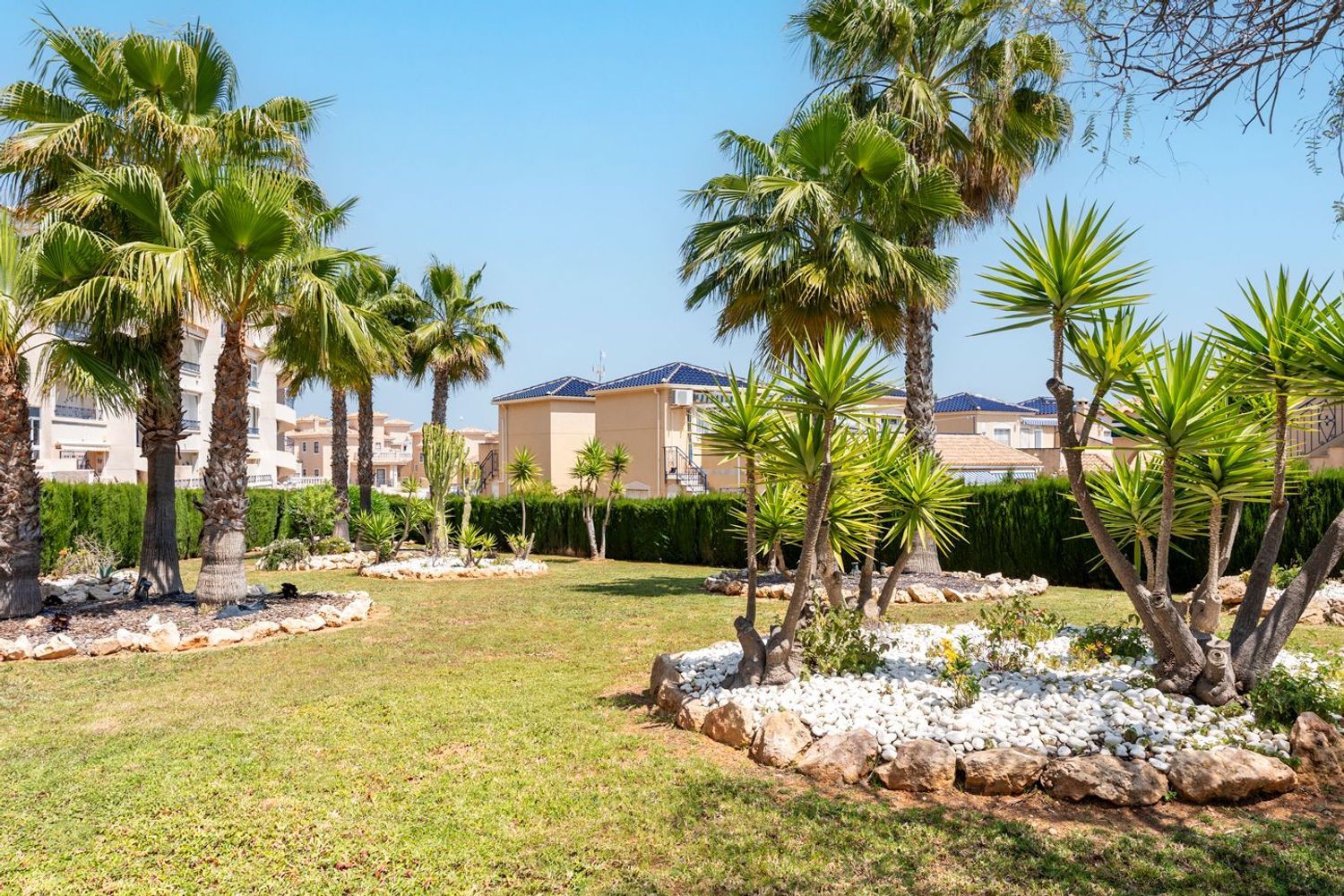 Pisos-Venta-Orihuela-2256338-Foto-23
