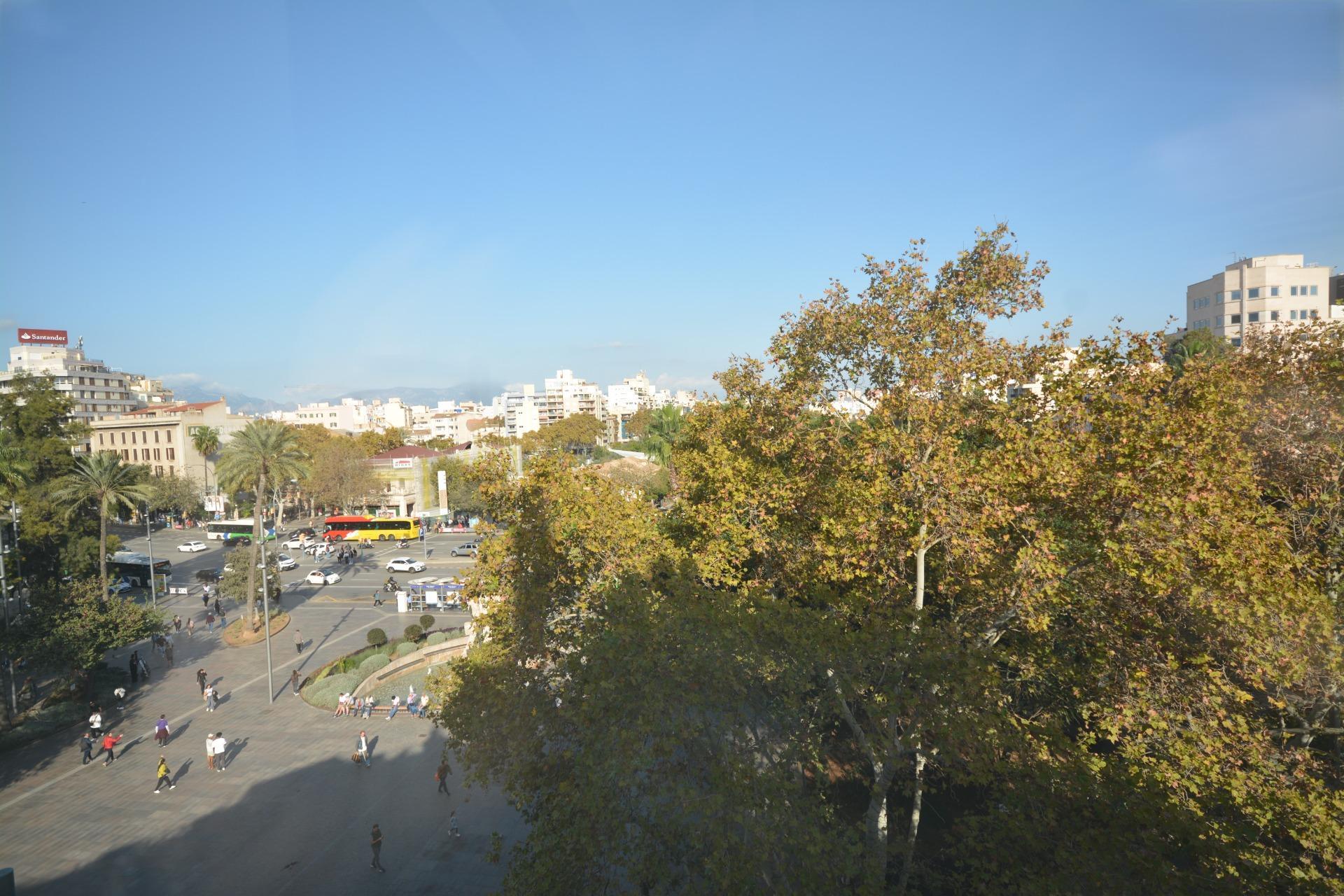 Vistas