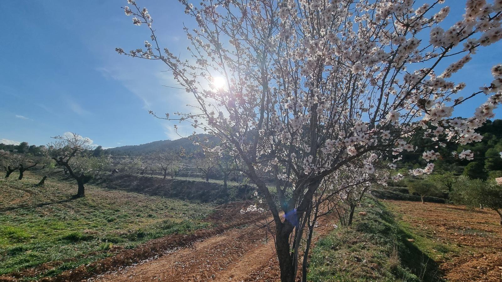 Suelo en venta, Madrid