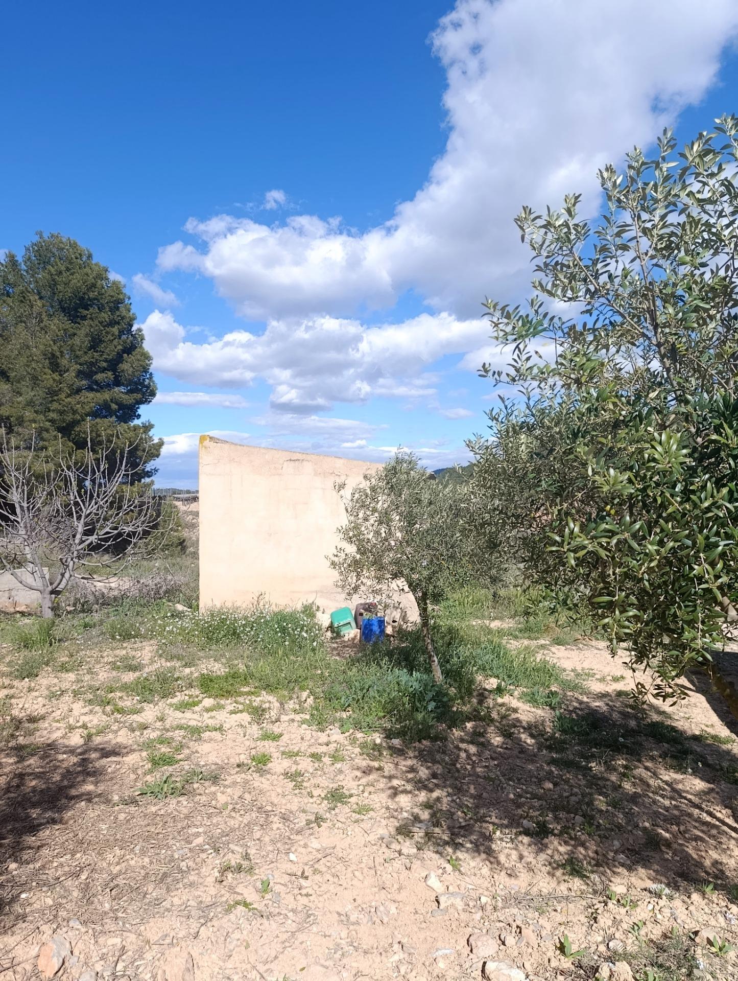Suelo en venta, Molina de Segura