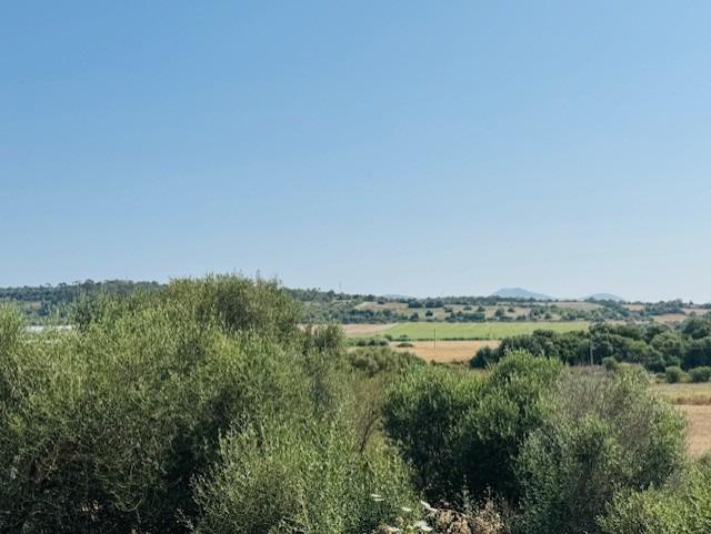 Foto 46