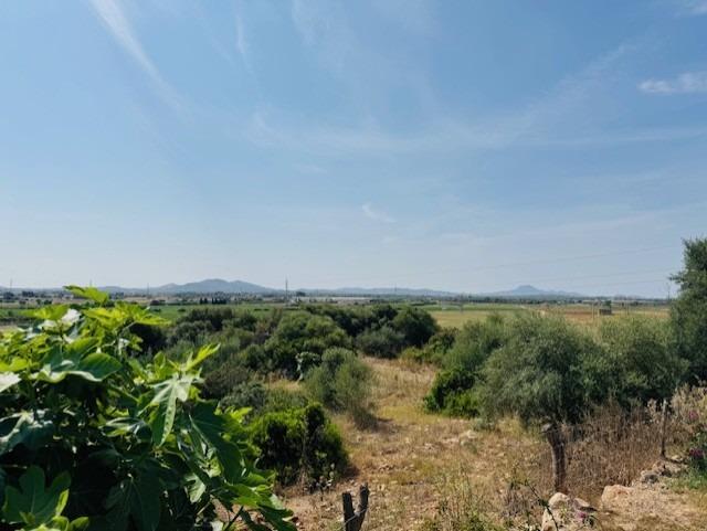 Foto 47