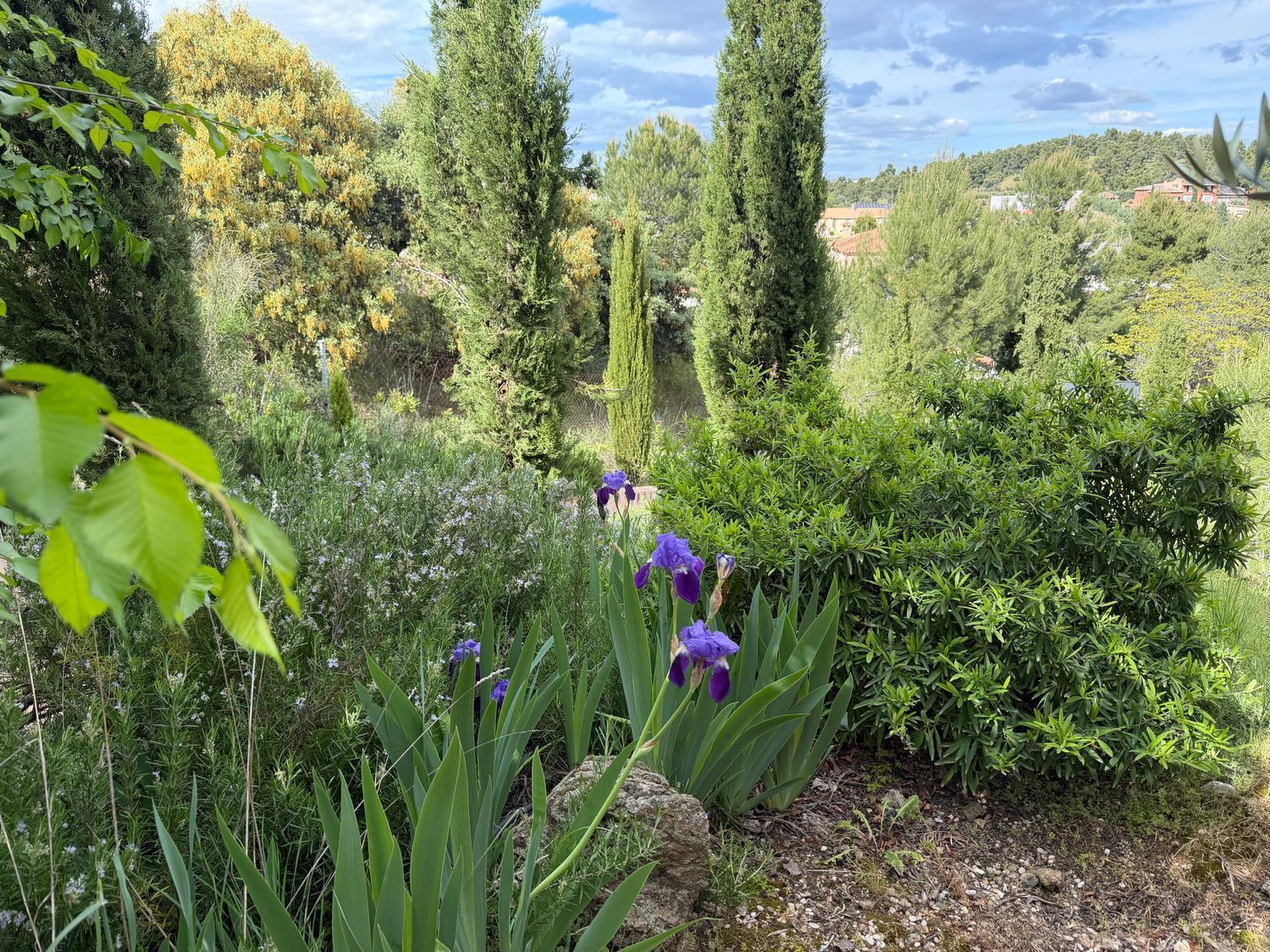 Toledo, Toledo