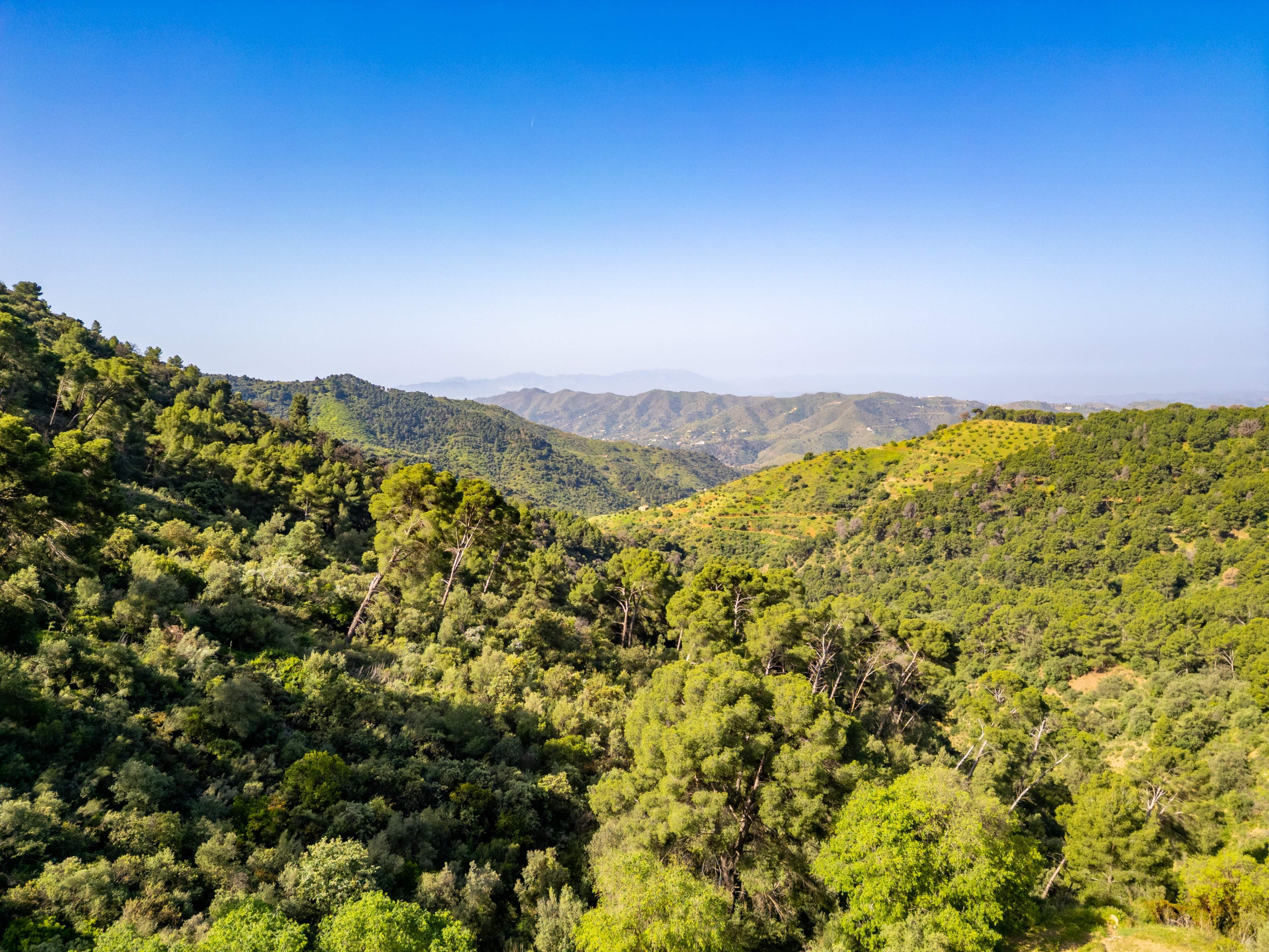 Málaga, Málaga-Este