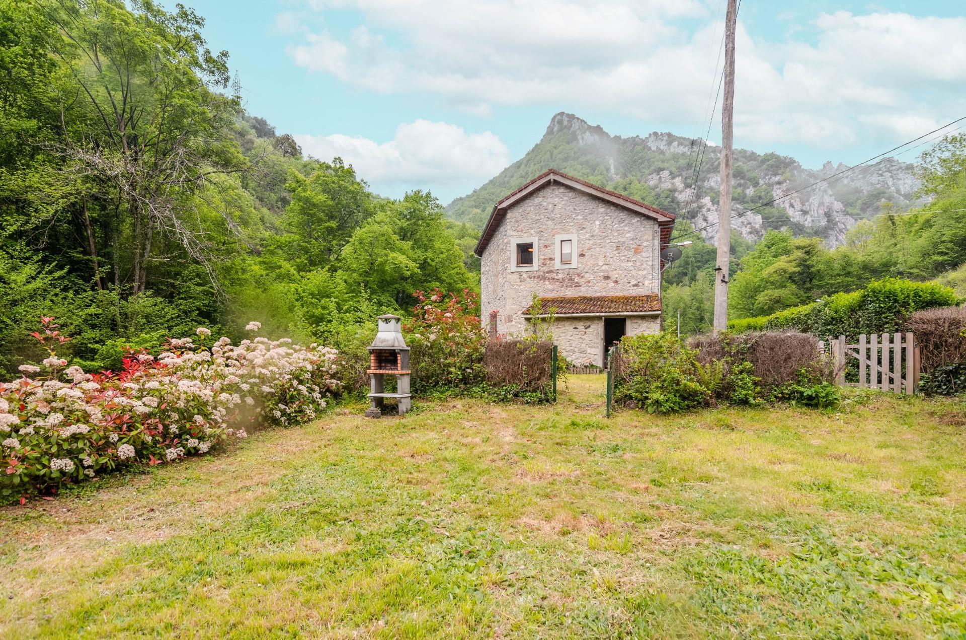 Castro, Asturias