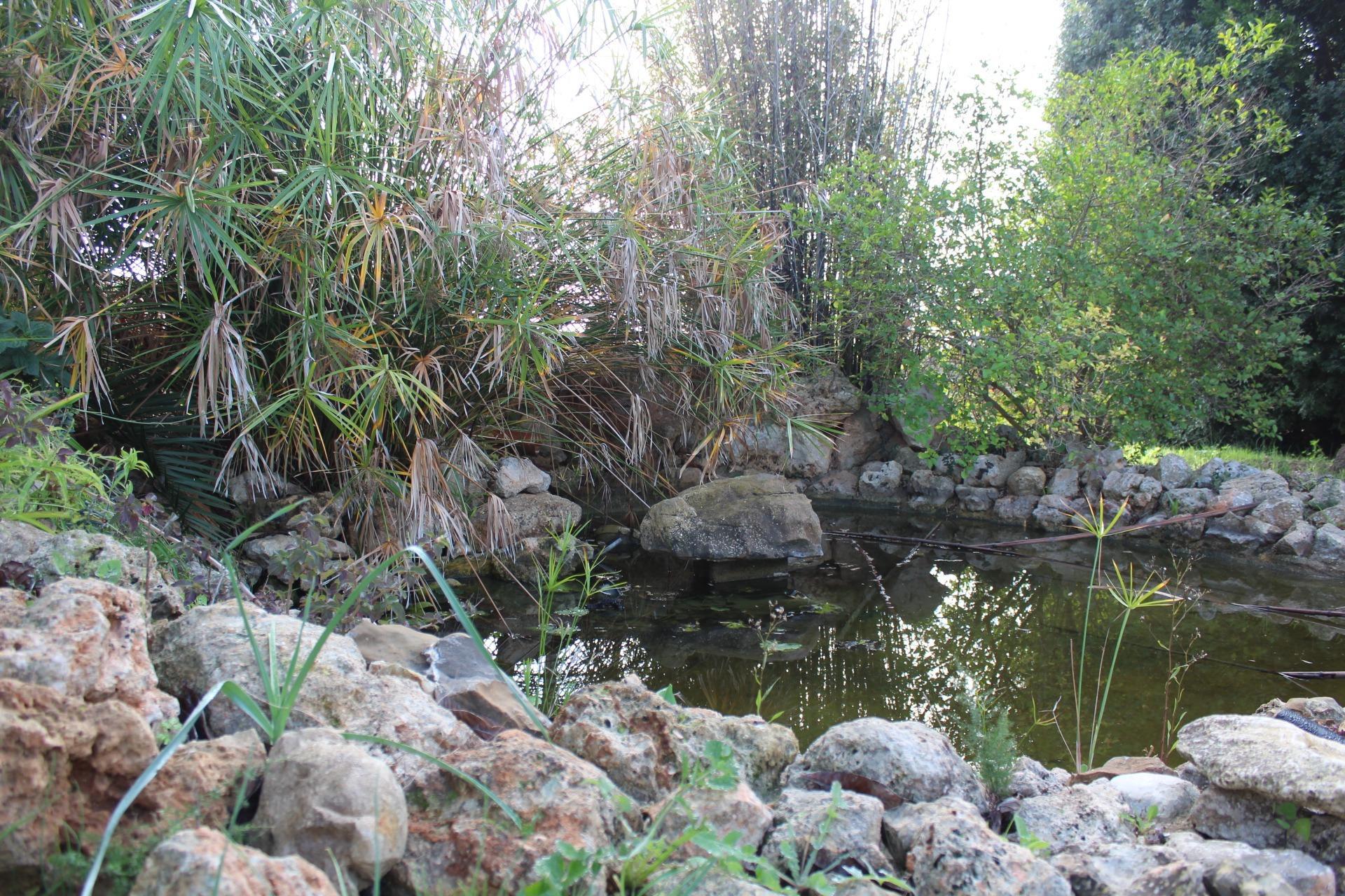 Foto 14