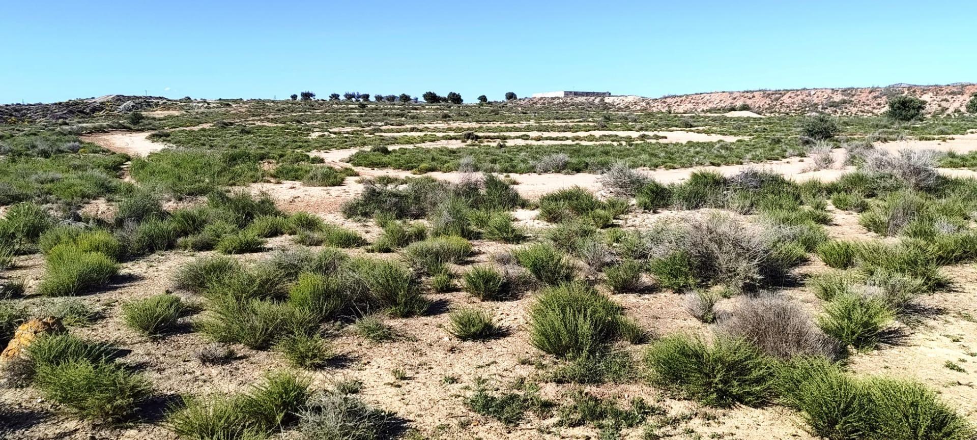 Suelo en venta, Villena, Alicante/Alacant
