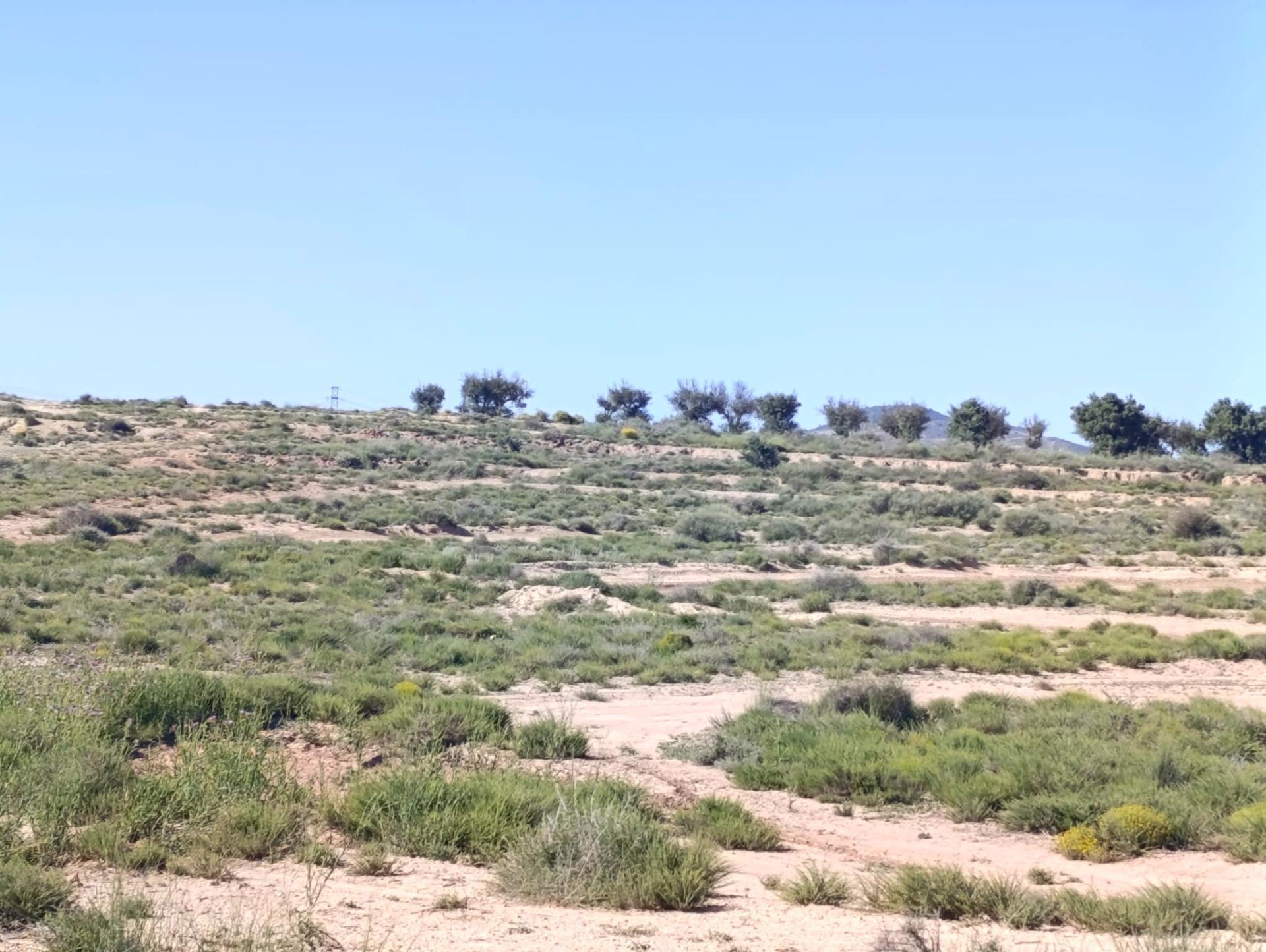 Suelo en venta, Villena, Alicante/Alacant, Alicante/Alacant