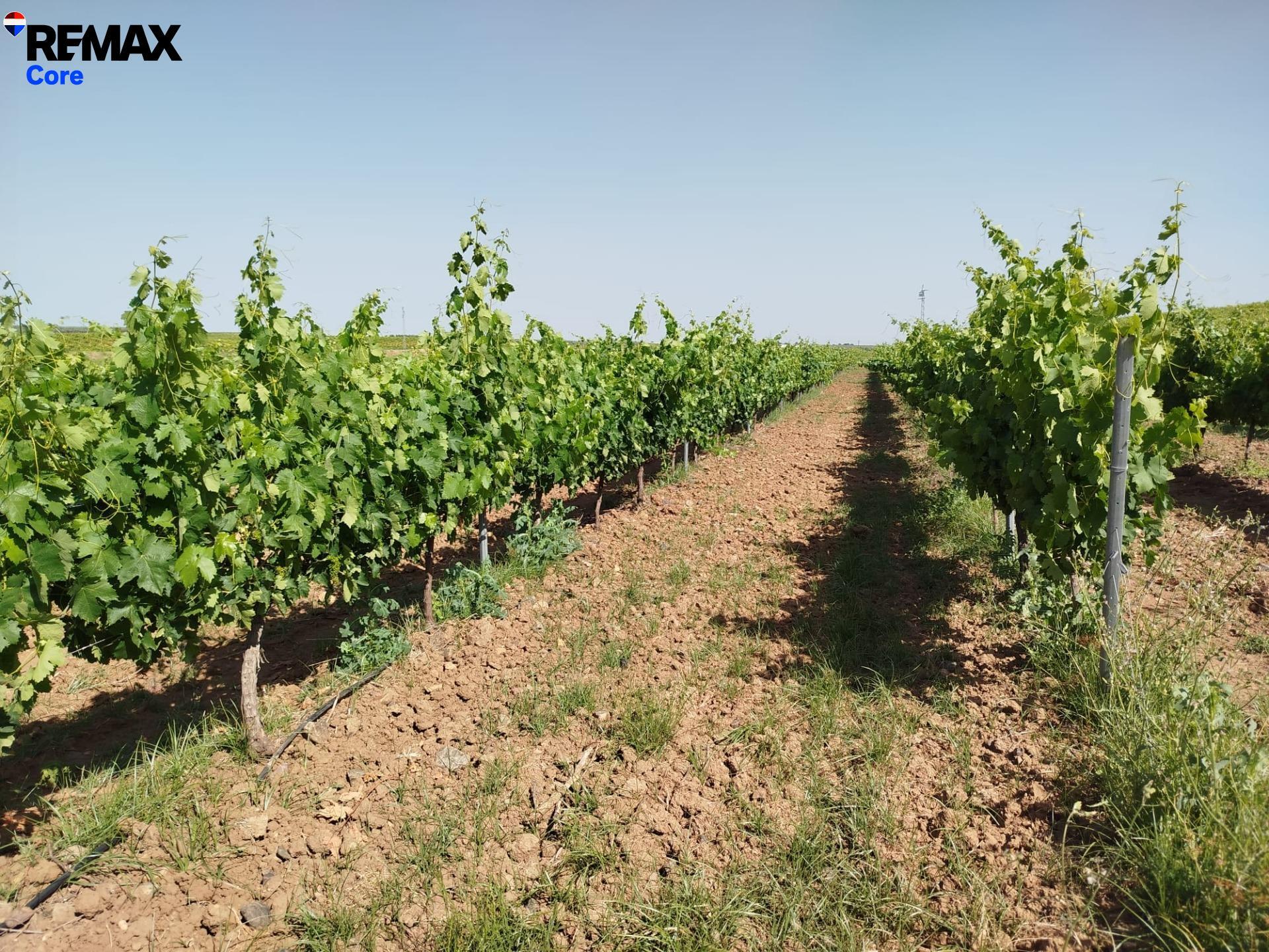 Suelo en venta, Alvarado, Badajoz, Badajoz