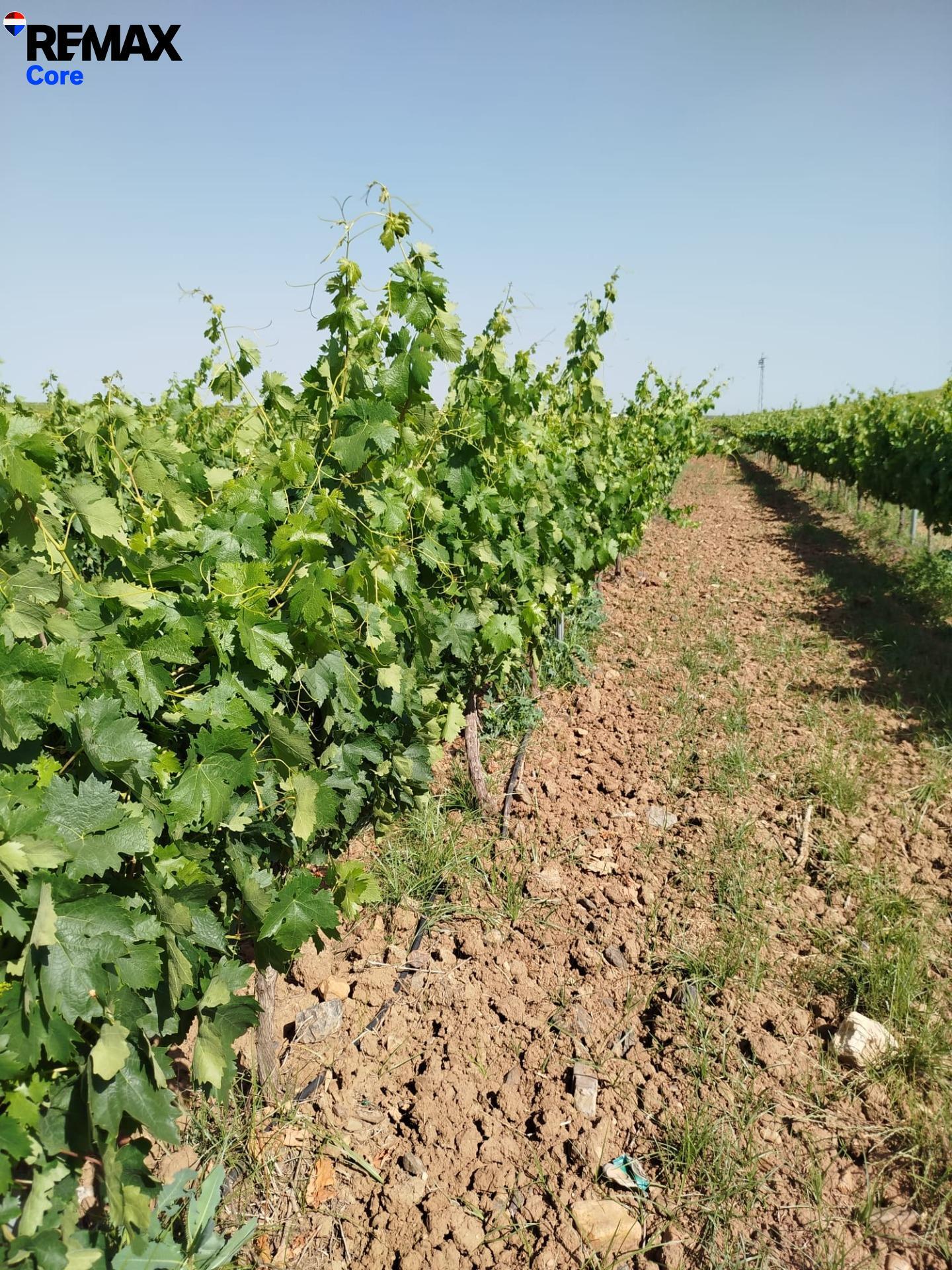 Suelo en venta, Alvarado, Badajoz, Badajoz