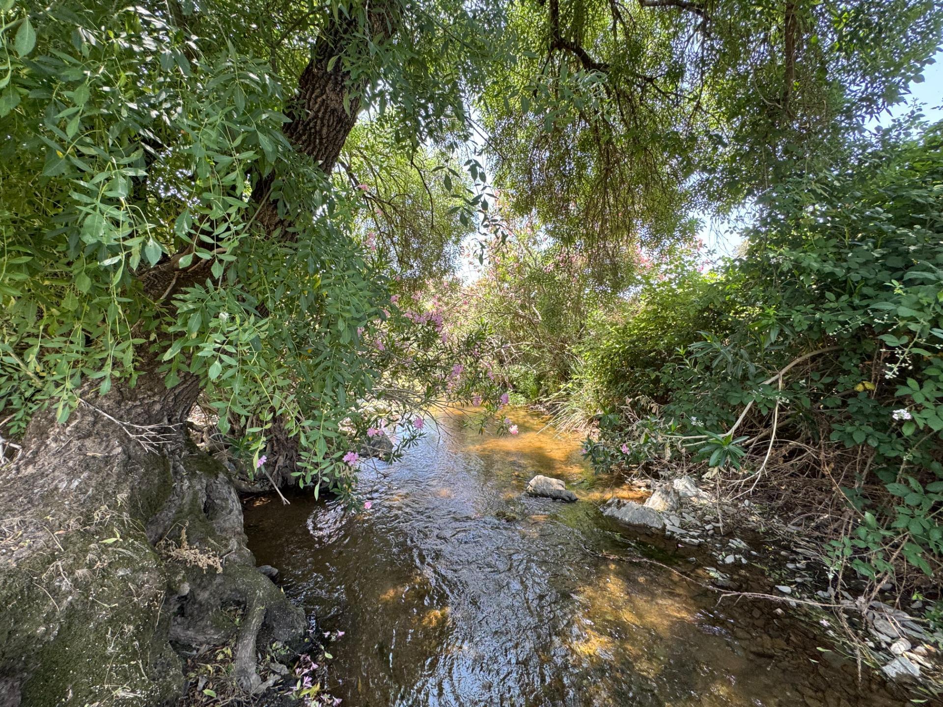 Cazalla de la Sierra, Sevilla