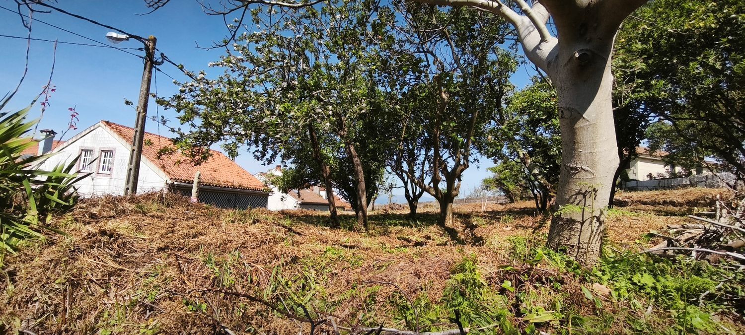 Villagarcía de Arousa, Pontevedra