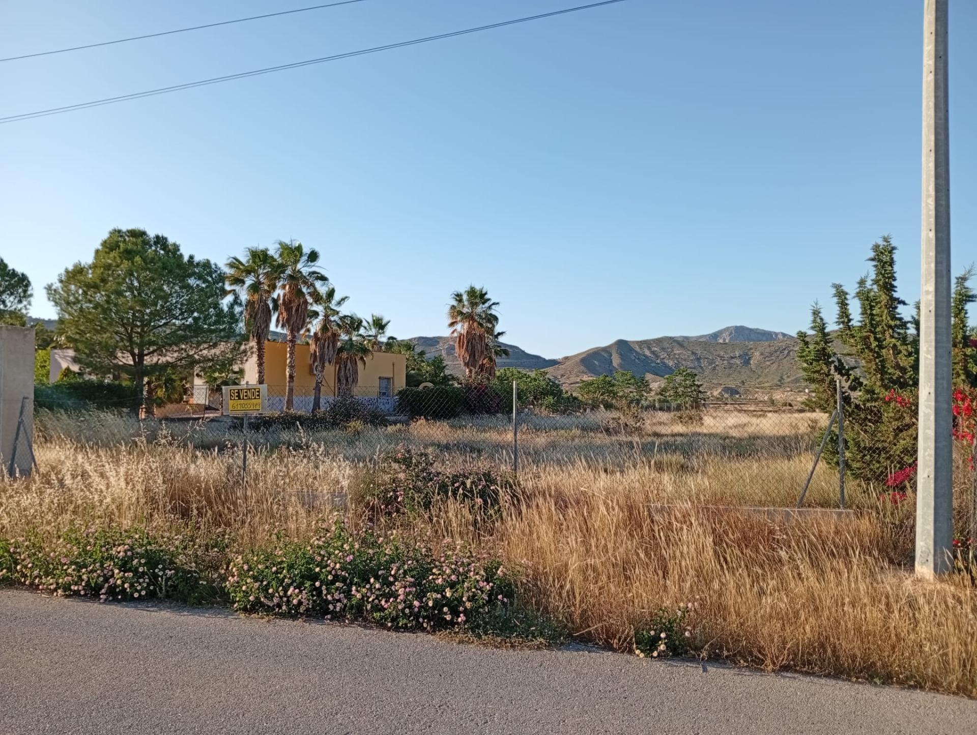 Suelo en venta, Abanilla
