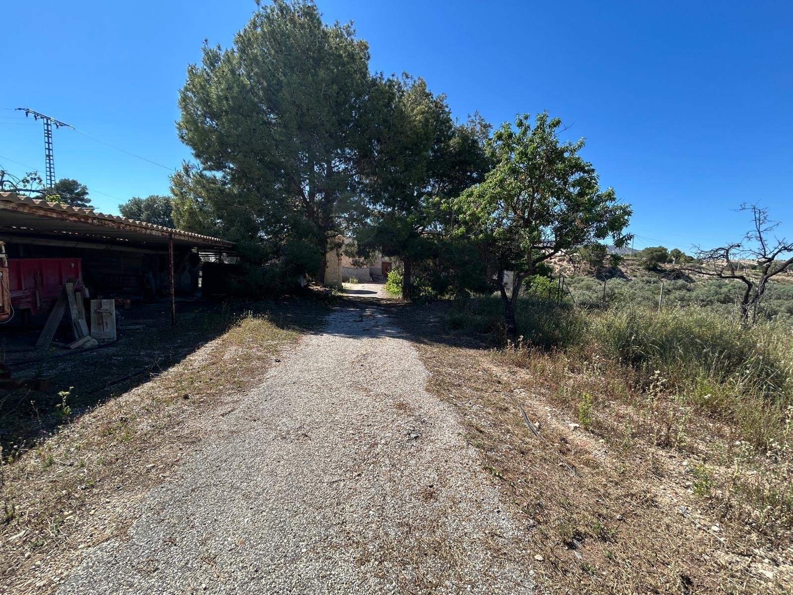 La Cenia, Alicante/Alacant