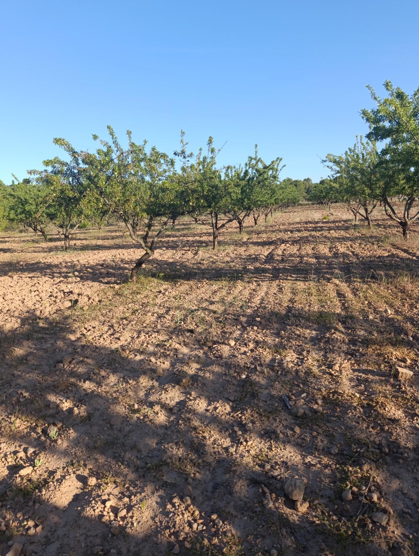 Suelo en venta, Chaparral