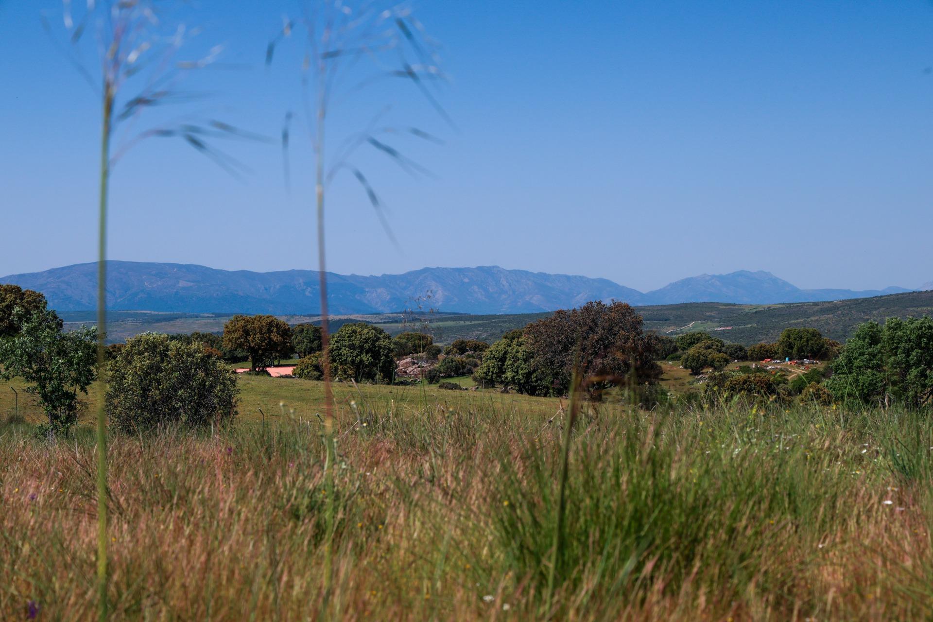 Suelo en venta, Navalperal de Pinares, Ãvila, Ãvila