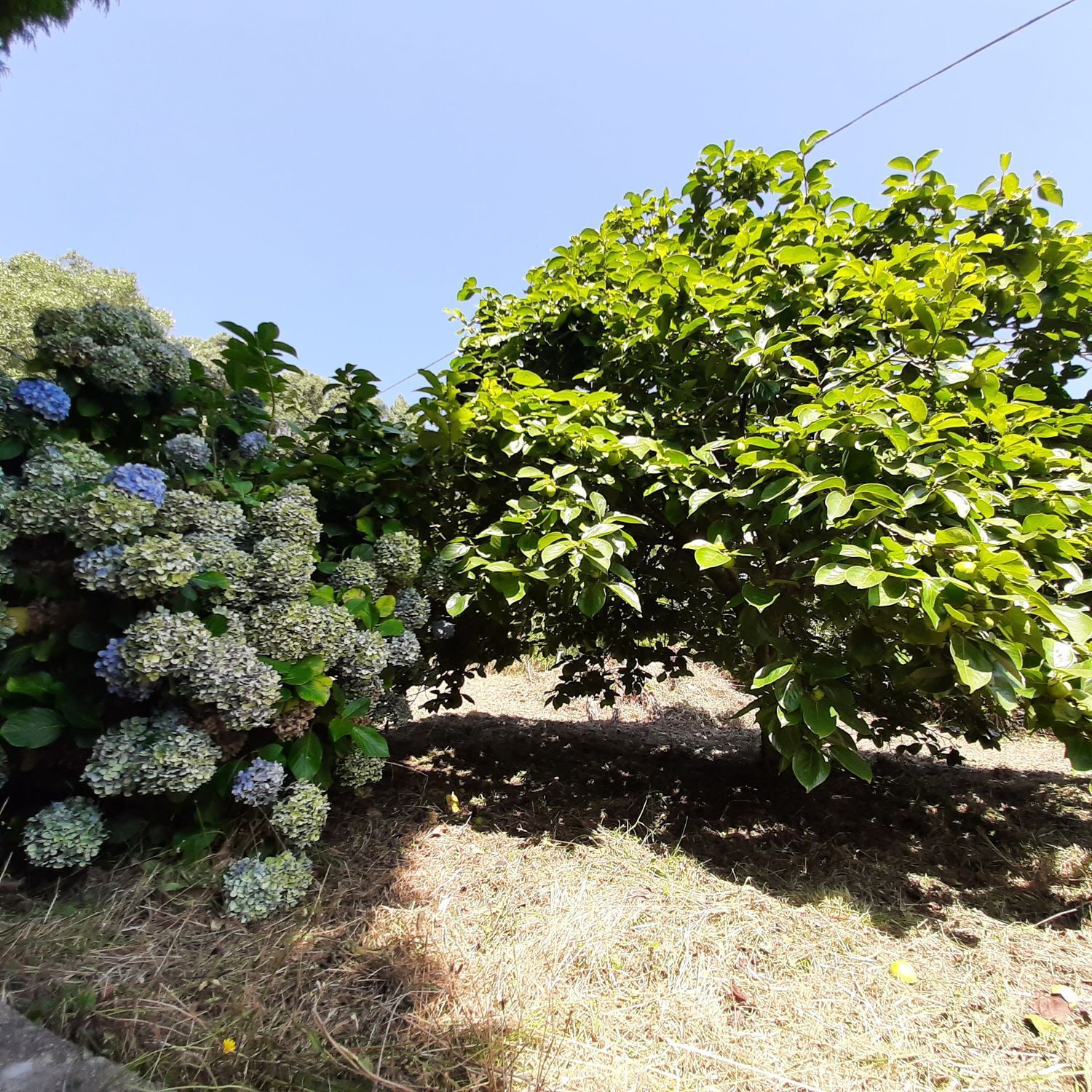 Casa en venta en Viveiro 7/25