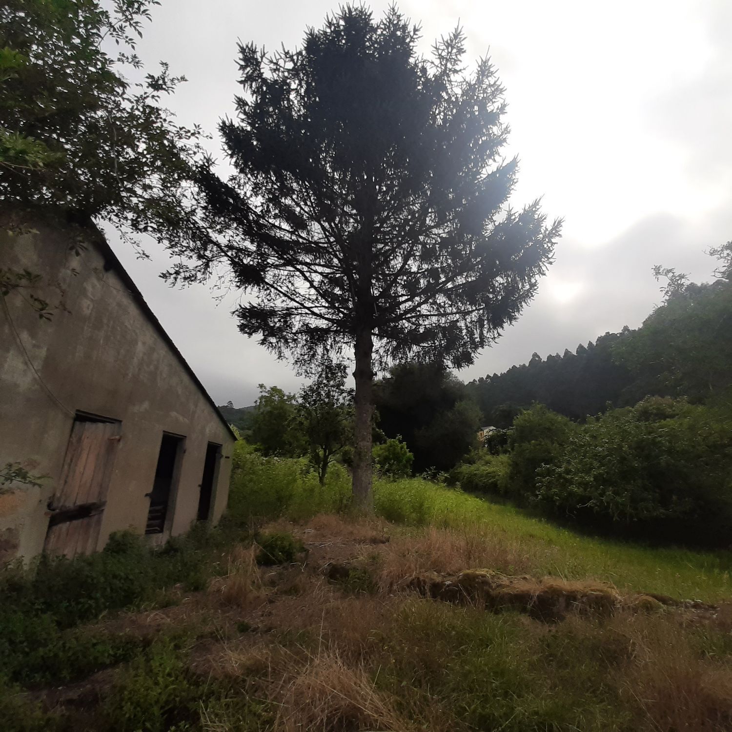 Casa en venta en Viveiro 11/25
