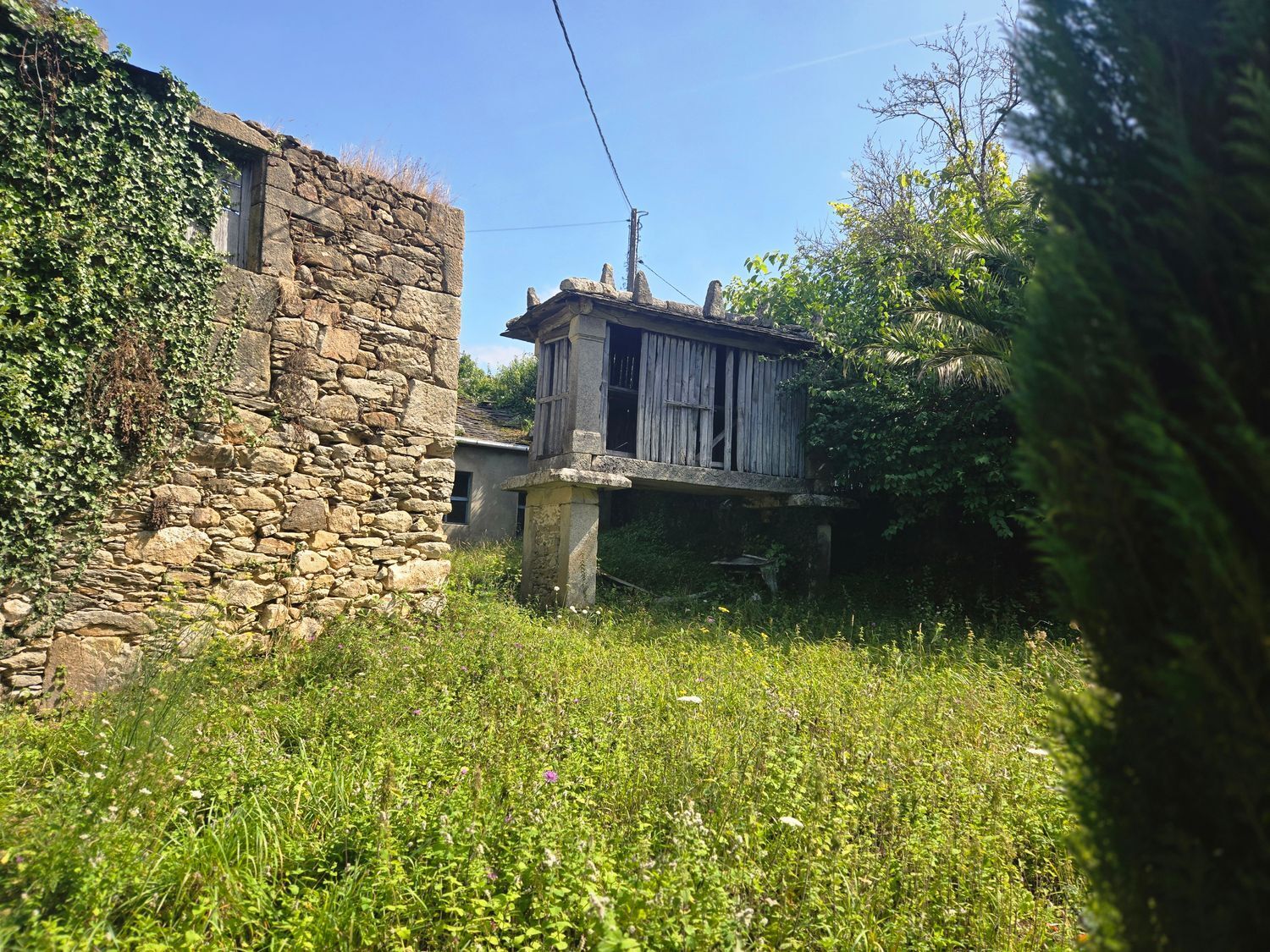 O Penouco, Lugo
