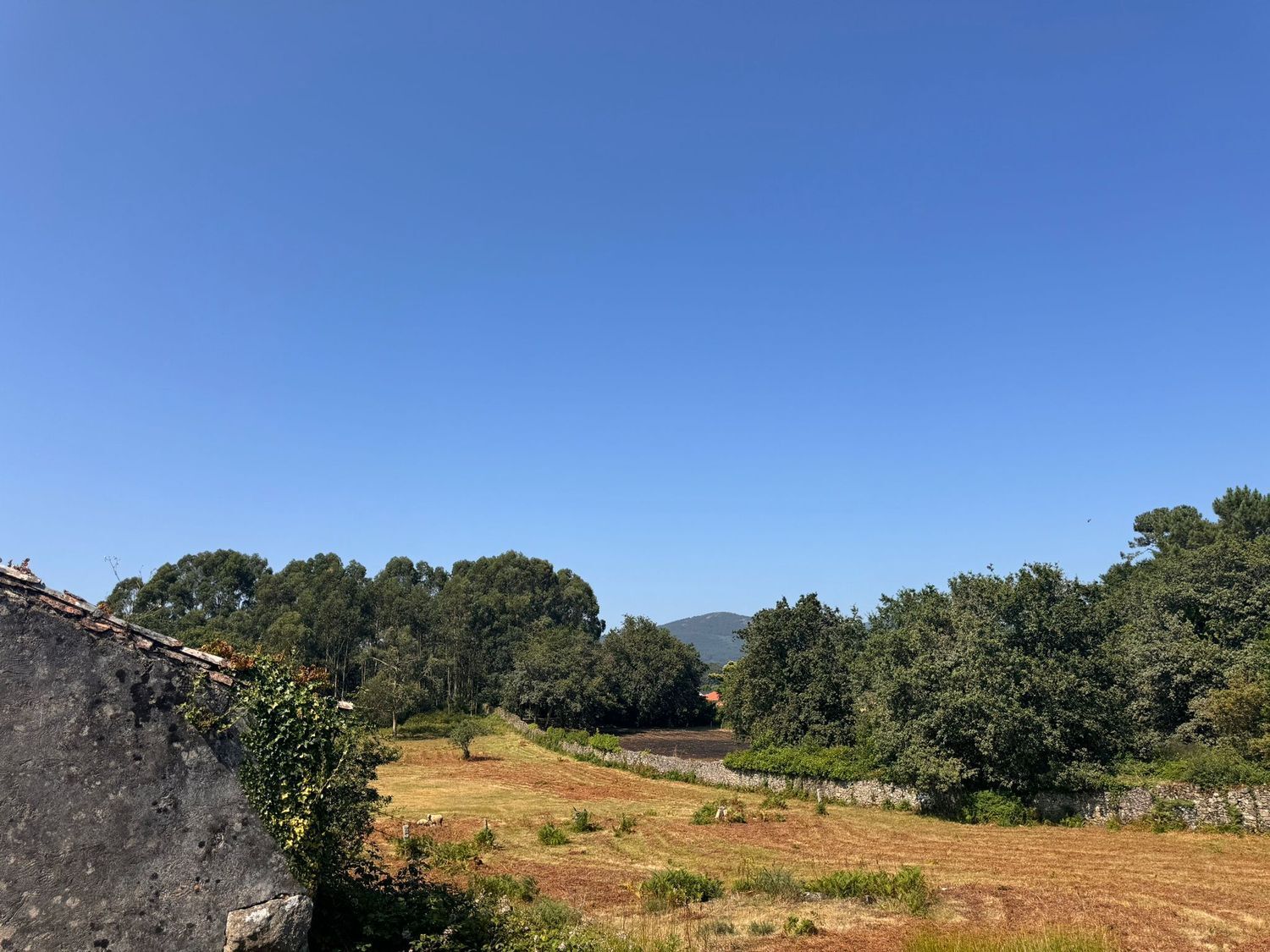 Casa en venta  Vilagarcía de Arousa  12/23