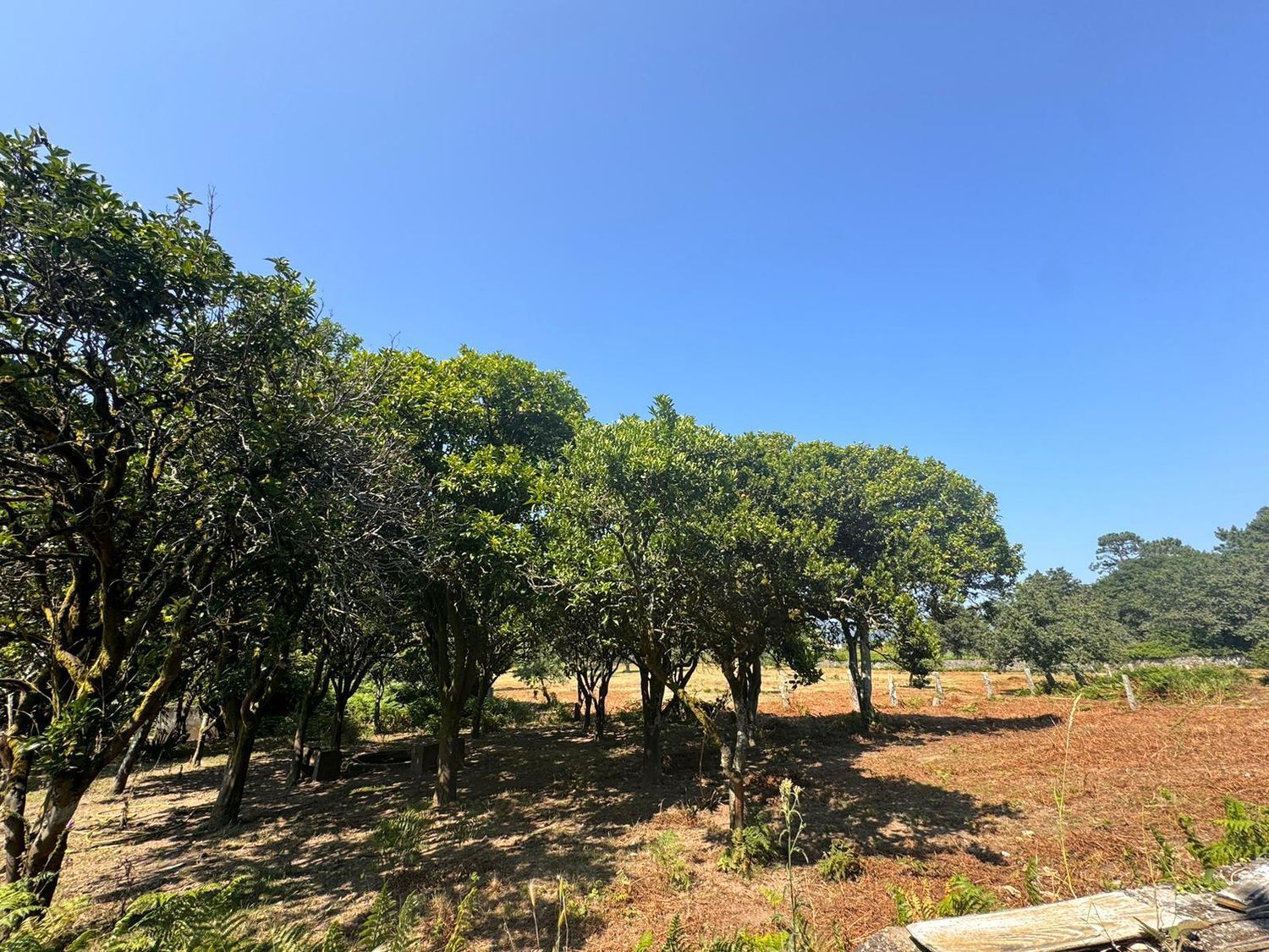 Casa en venta  Vilagarcía de Arousa  15/23