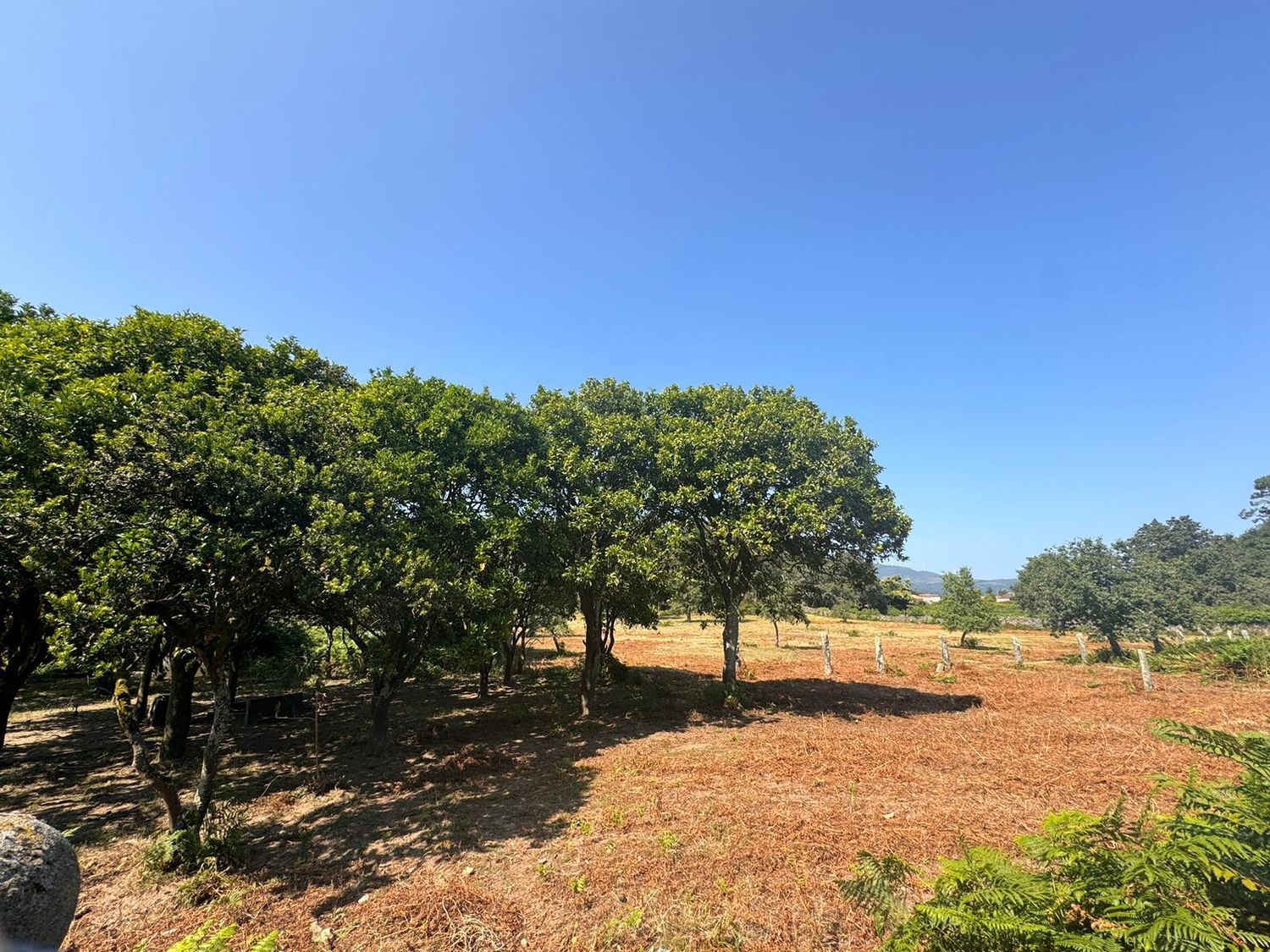 Casa en venta  Vilagarcía de Arousa  18/23
