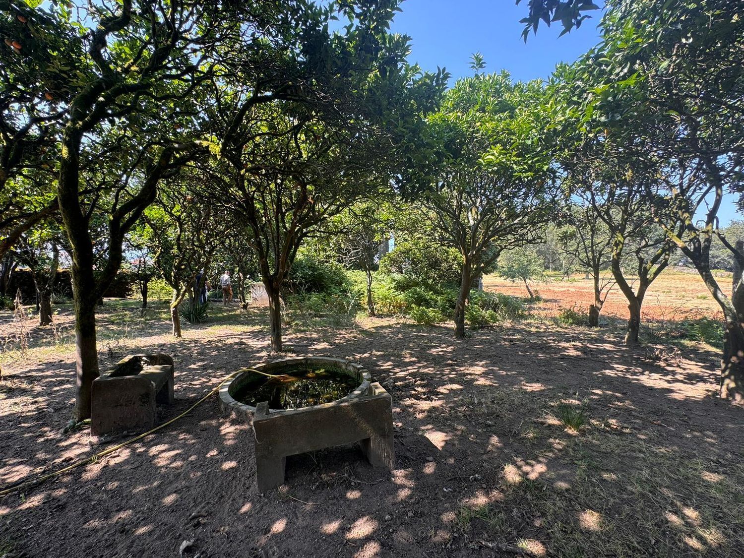 Casa en venta  Vilagarcía de Arousa  20/23