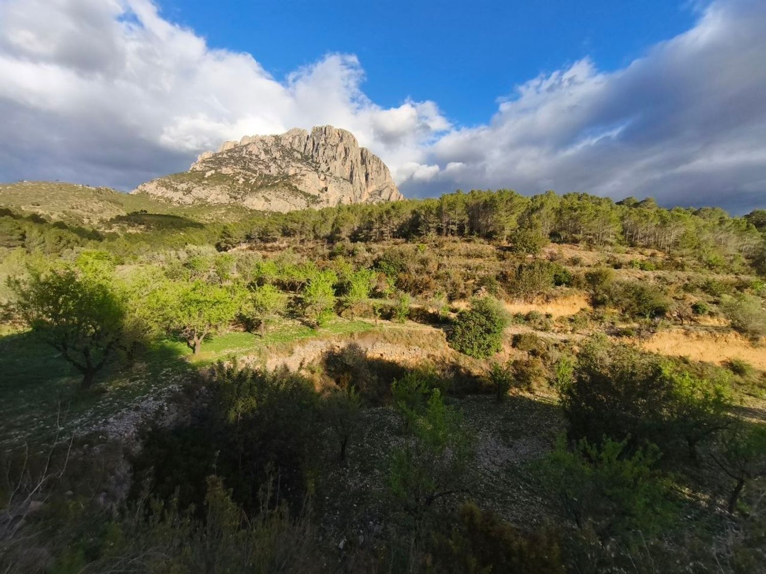 Suelo en venta, Finestrat