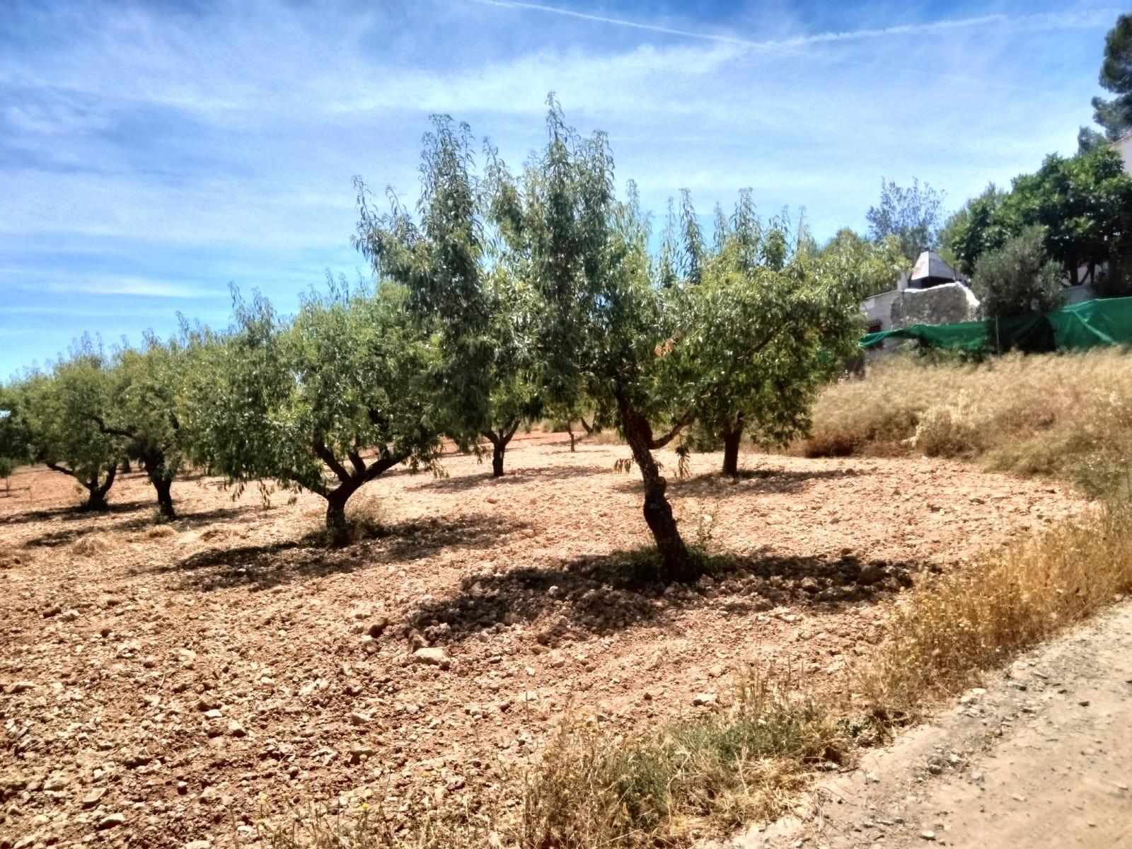 Suelo en venta, Chaparral, Murcia