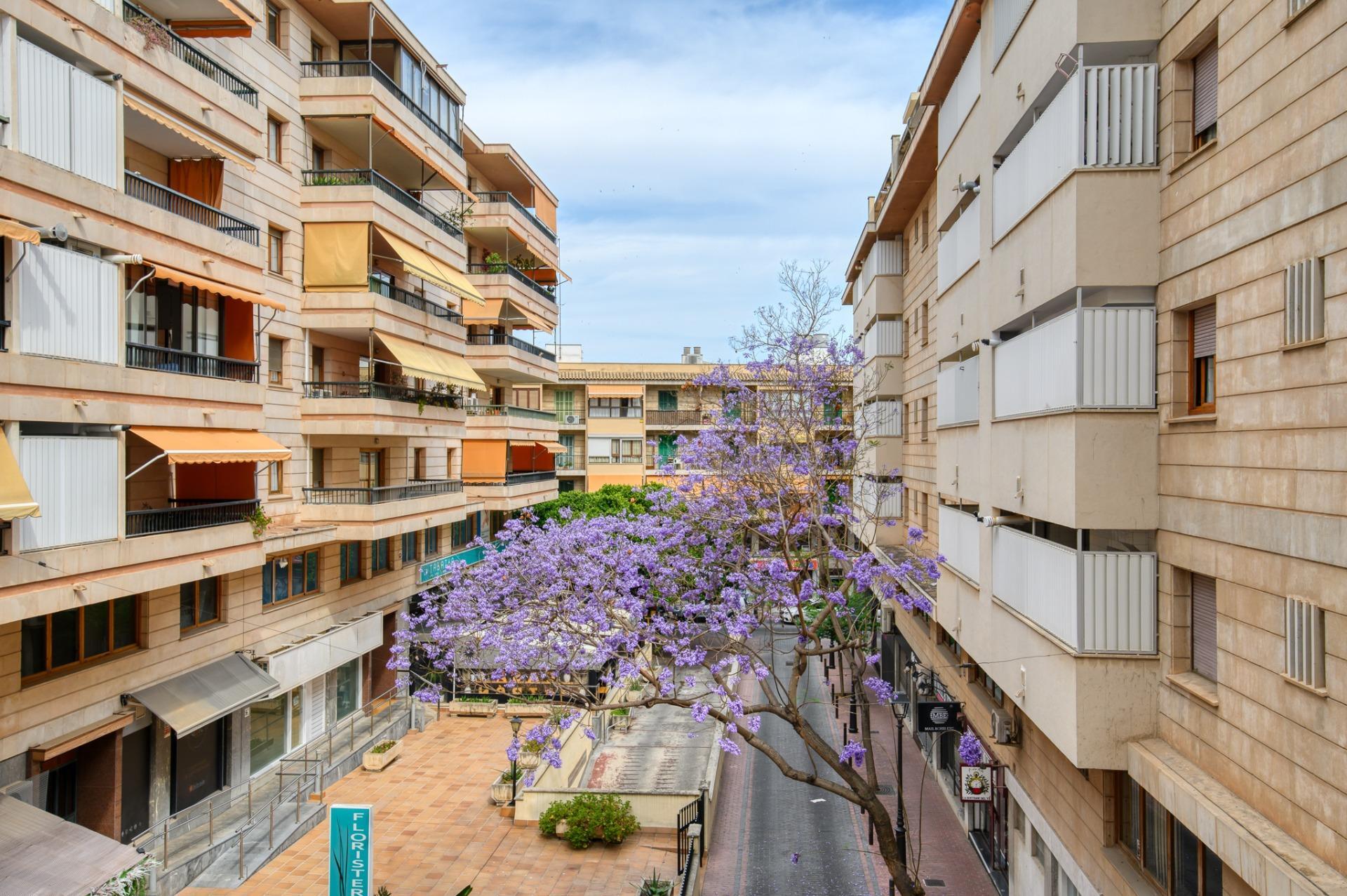Piso en venta en calle Baro De Santa Maria Del S, Palma de Mallorca 2/25