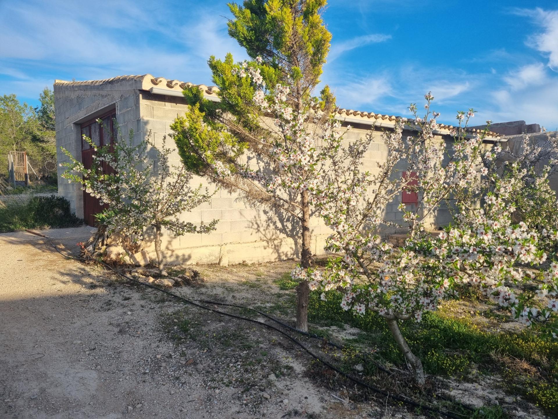 Nave Industrial en venta en Cieza 12/23