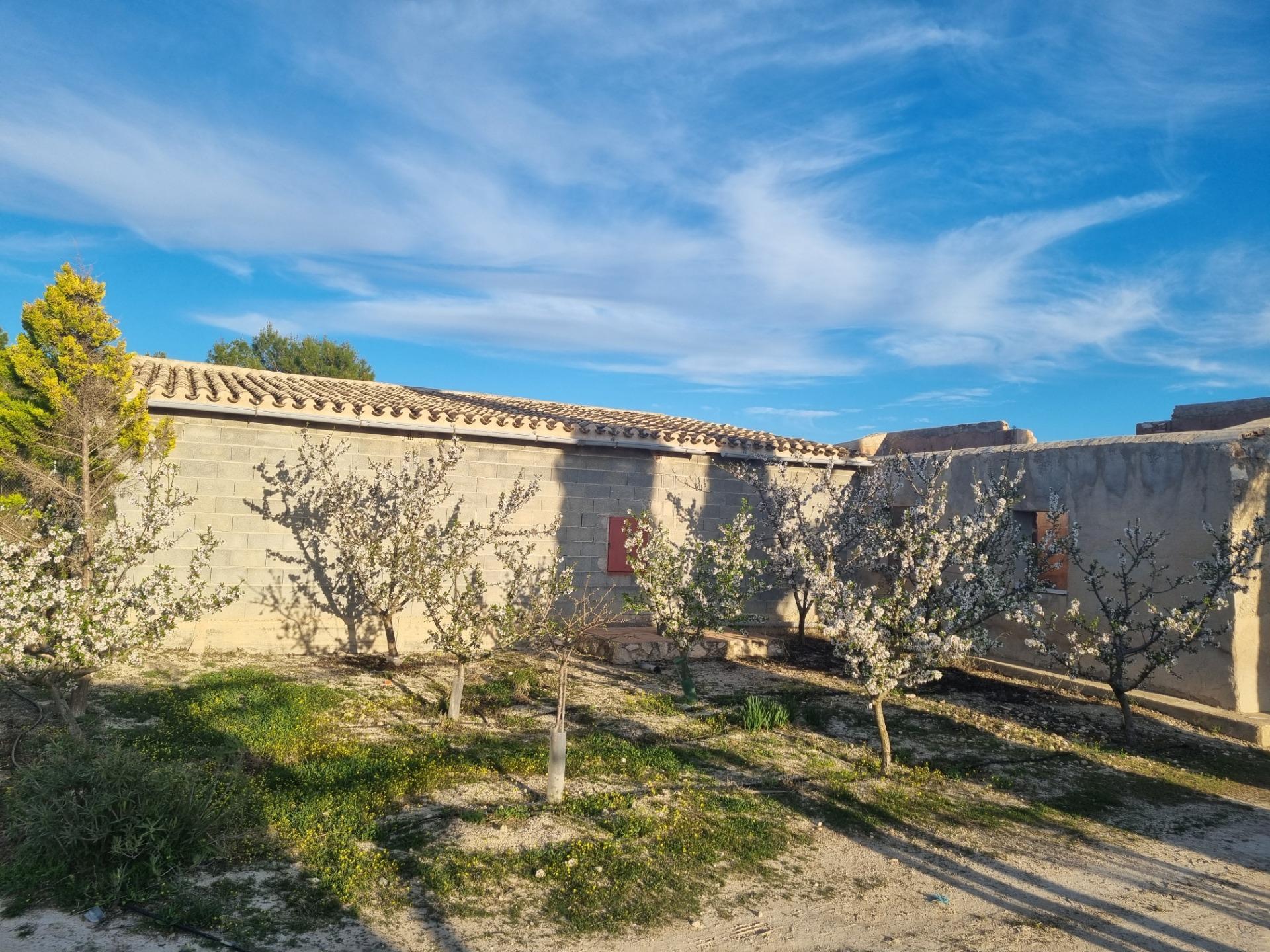 Nave Industrial en venta en Cieza 13/23