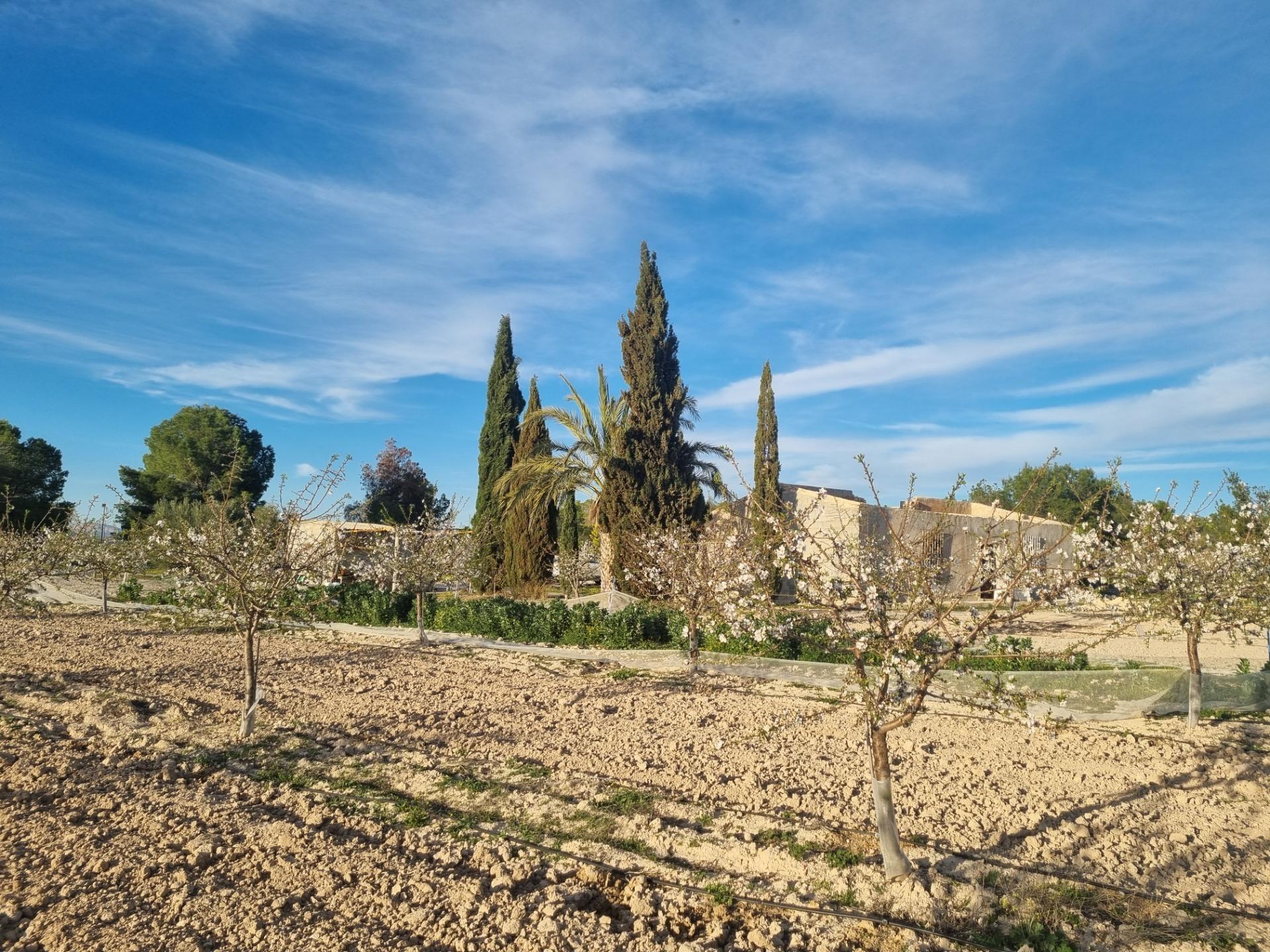 Nave Industrial en venta en Cieza 20/23