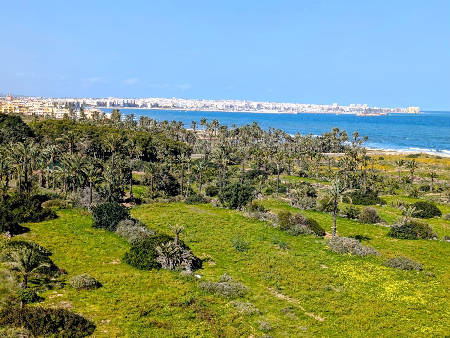Piso en venta en calle Pleamar, Torrevieja 25/25
