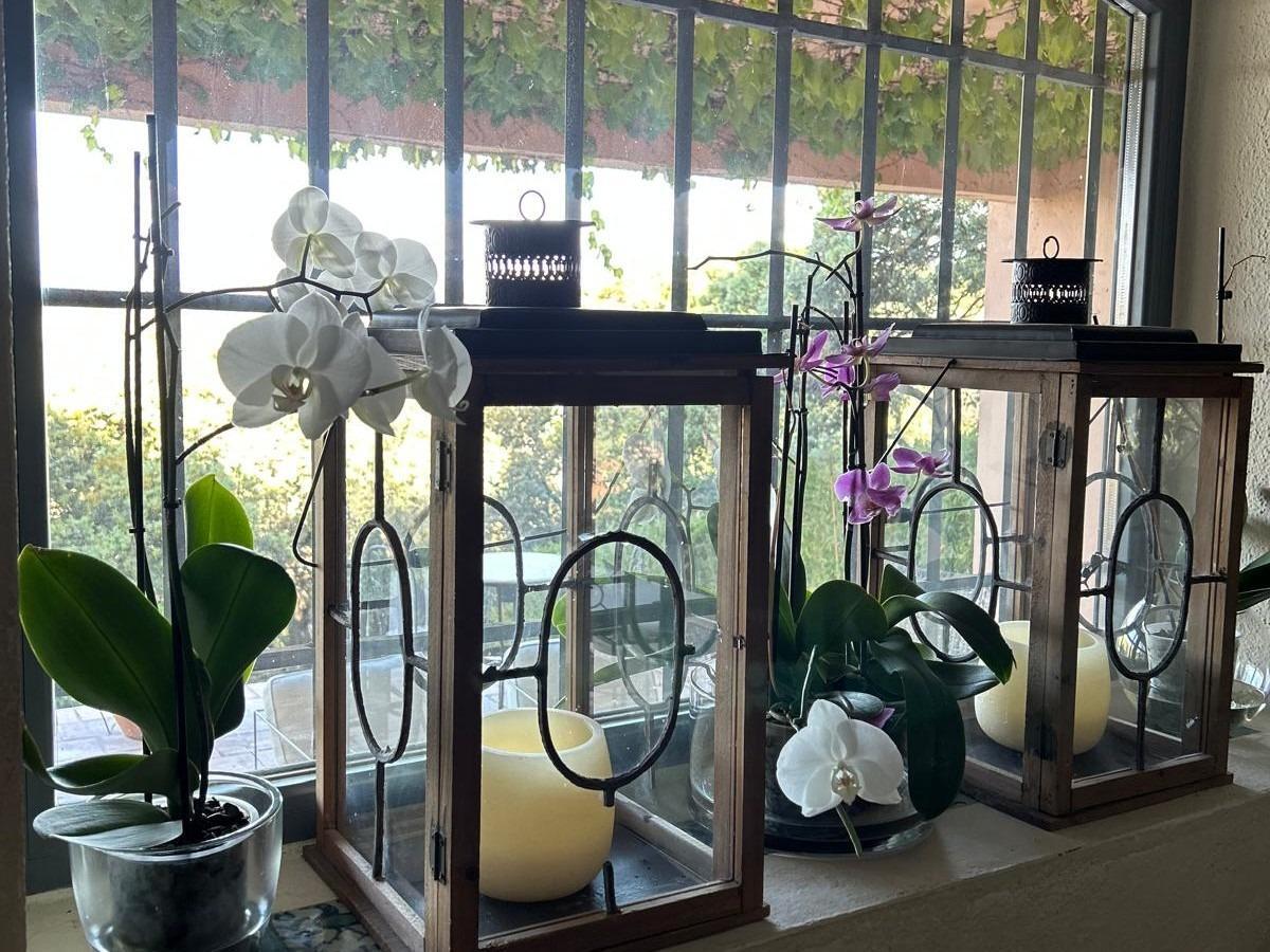 Casa en venta en Torrelodones 28/42
