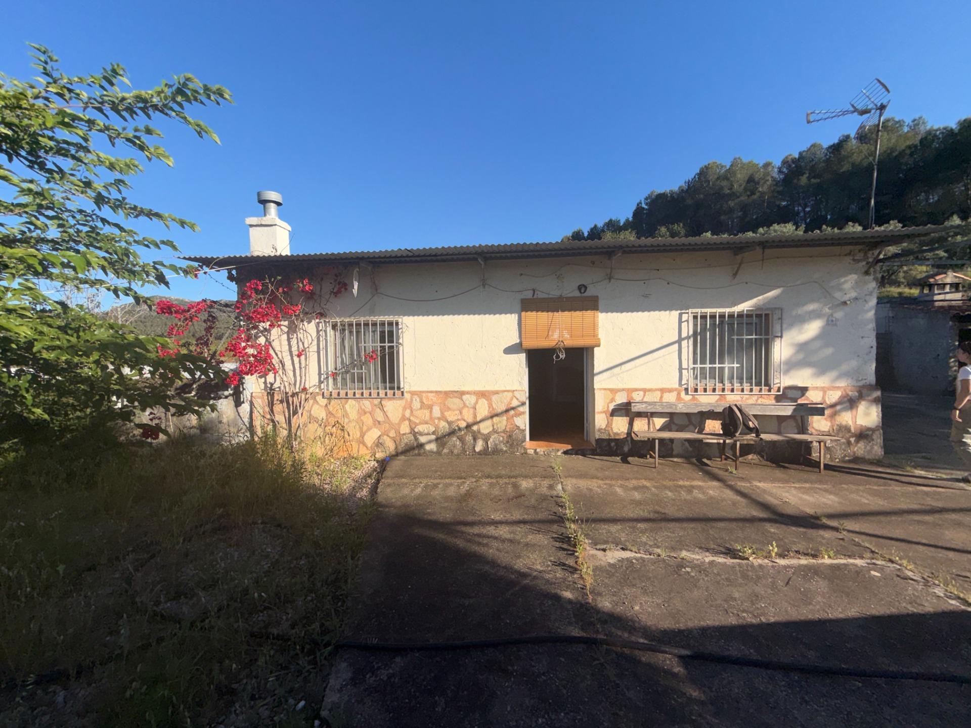 Rústico en venta, Barxeta, Valencia/València