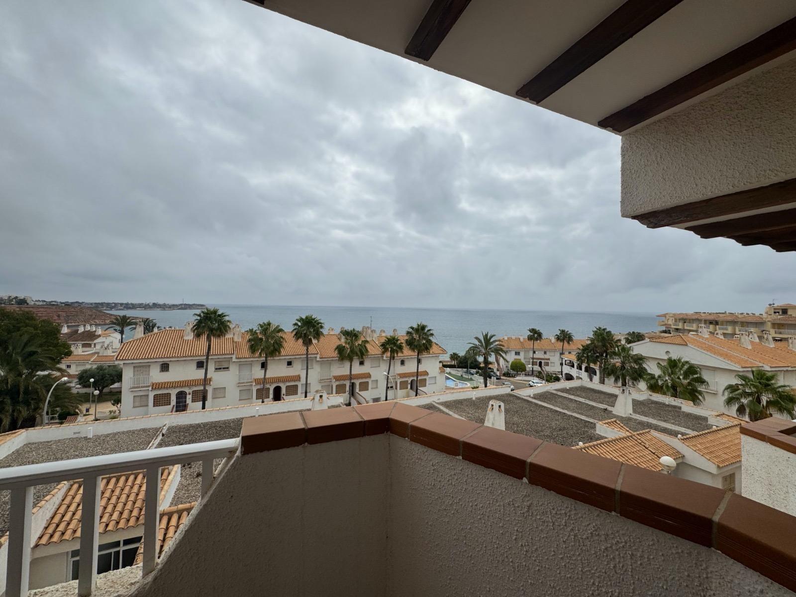 Avenida de las Adelfas, Aguamarina, Orihuela Costa, Dehesa de Campoamor, Alicante/Alacant