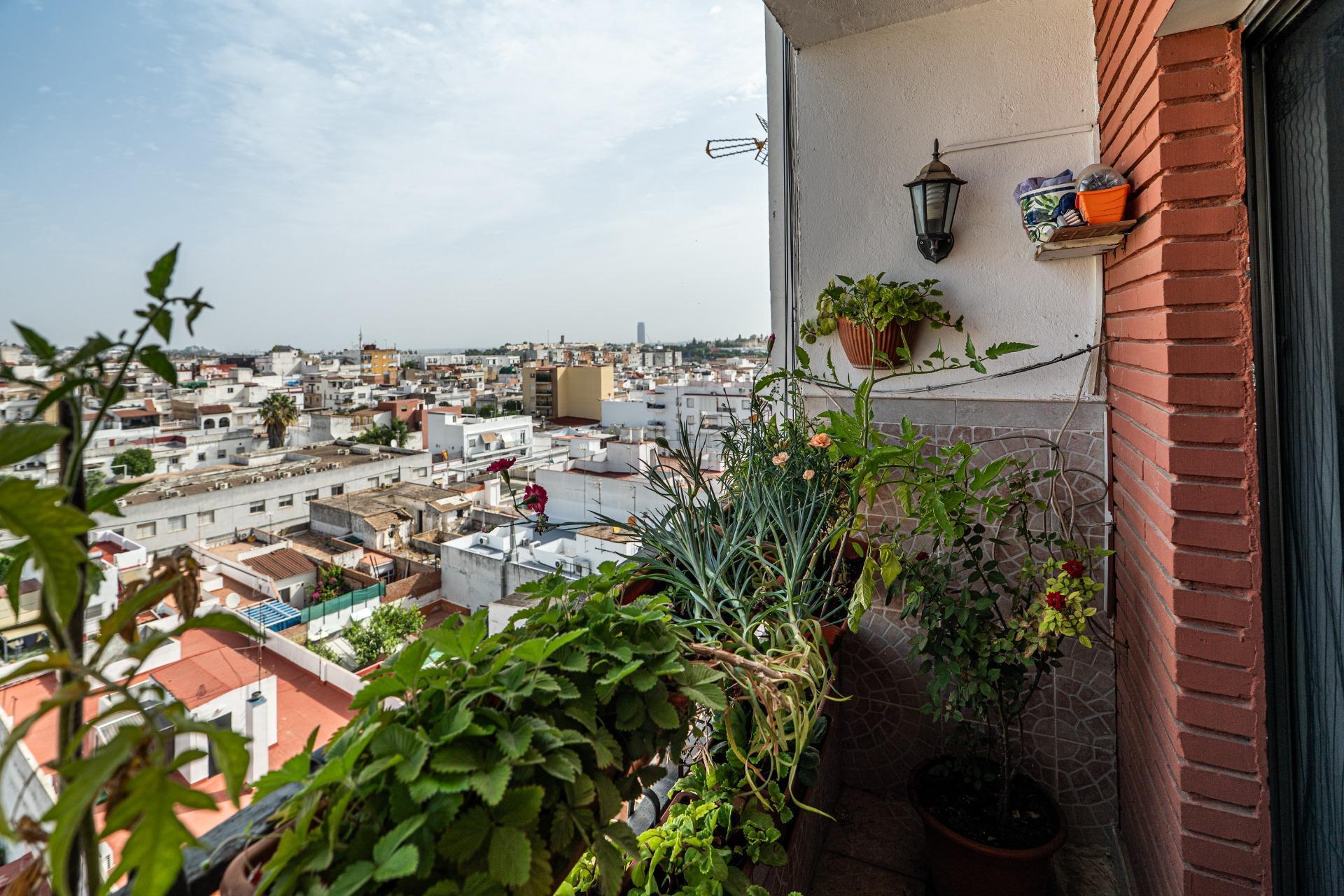 San Juan de Aznalfarache, Sevilla