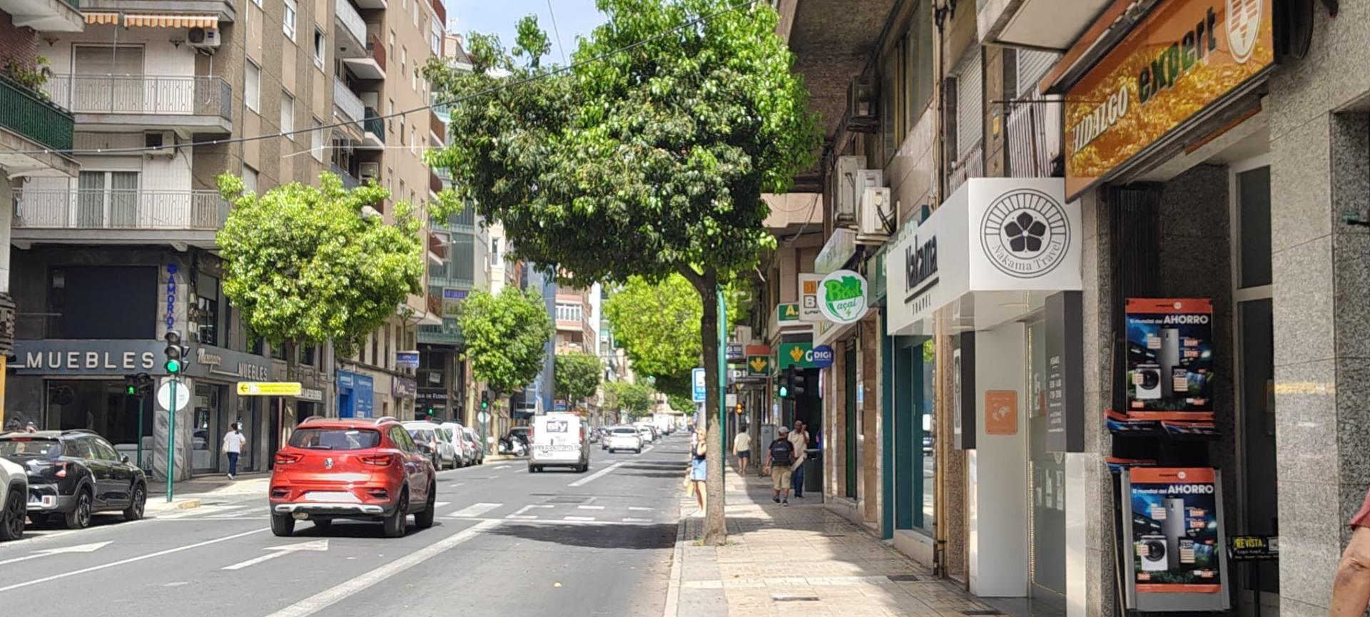 Local Comercial en venta, Elx / Elche, Alicante/Alacant
