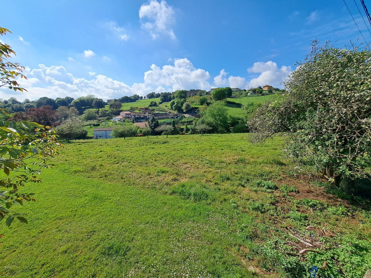 Suelo en venta, Periurbano - Rural - L'Abadía Cenero, Gijón / Xixón