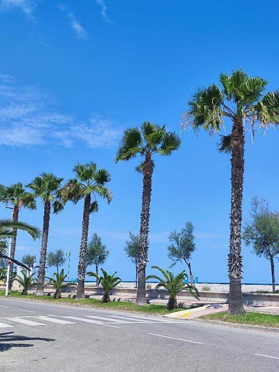 El Grau de Moncofa, Castellón/Castelló