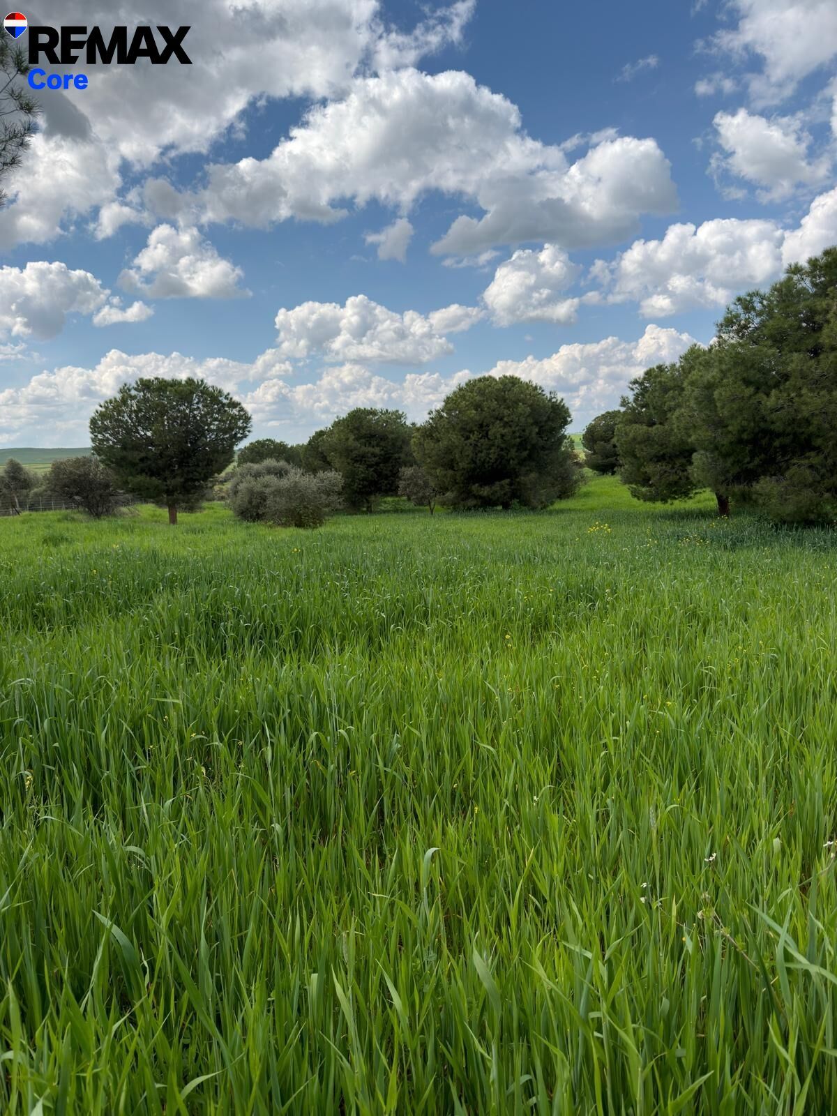 Suelo en venta, Valencia de las Torres, Badajoz, Badajoz