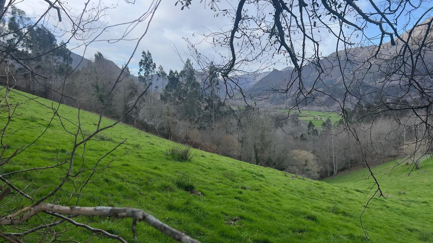 Suelo en venta, Puente Nuevo, Asturias