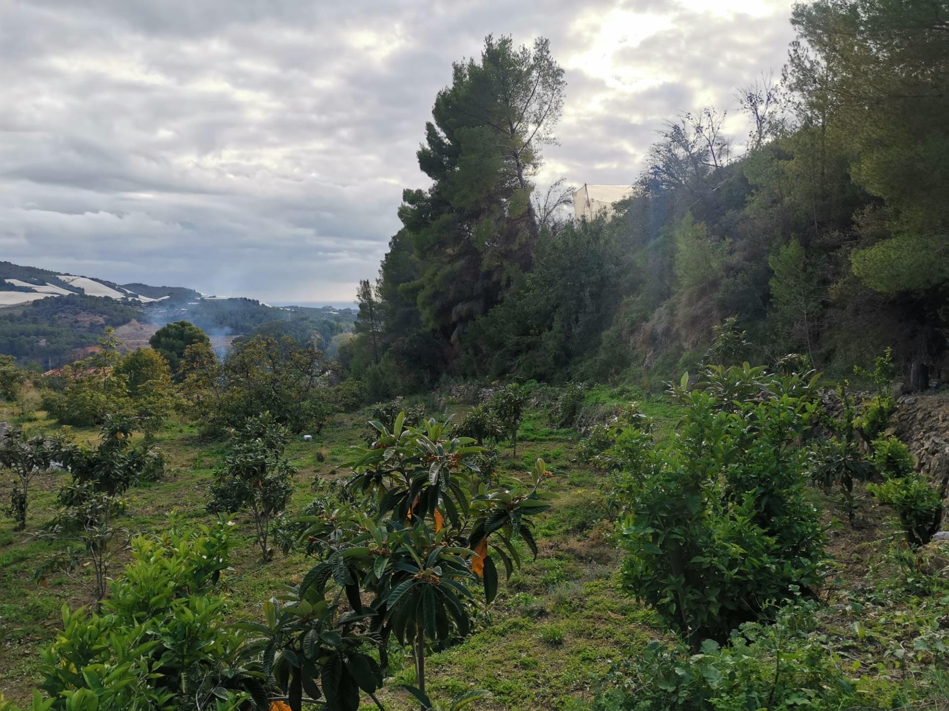 Suelo en venta, Callosa d'en Sarrià