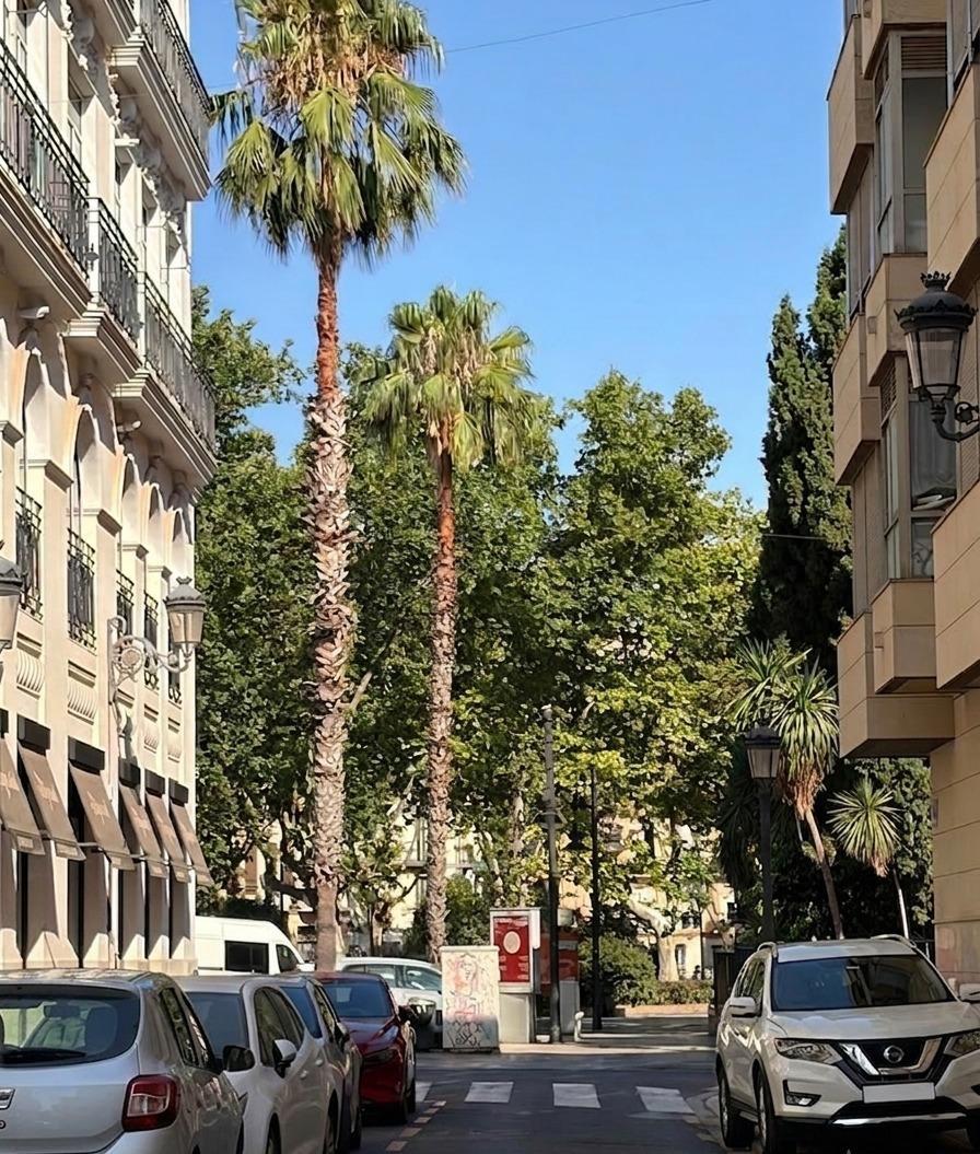 Local Comercial en venta, València