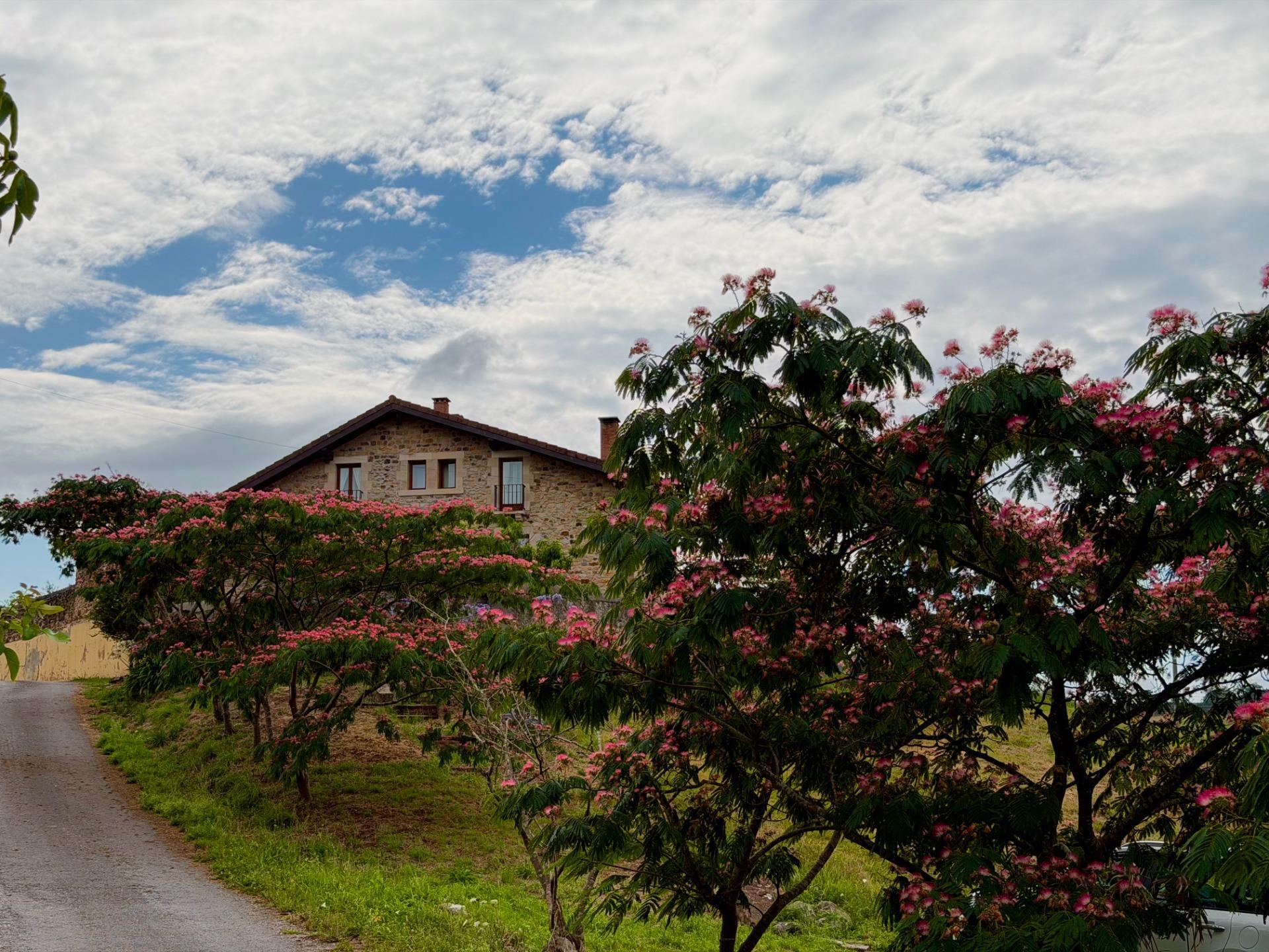 Casa en venta, Rumoroso